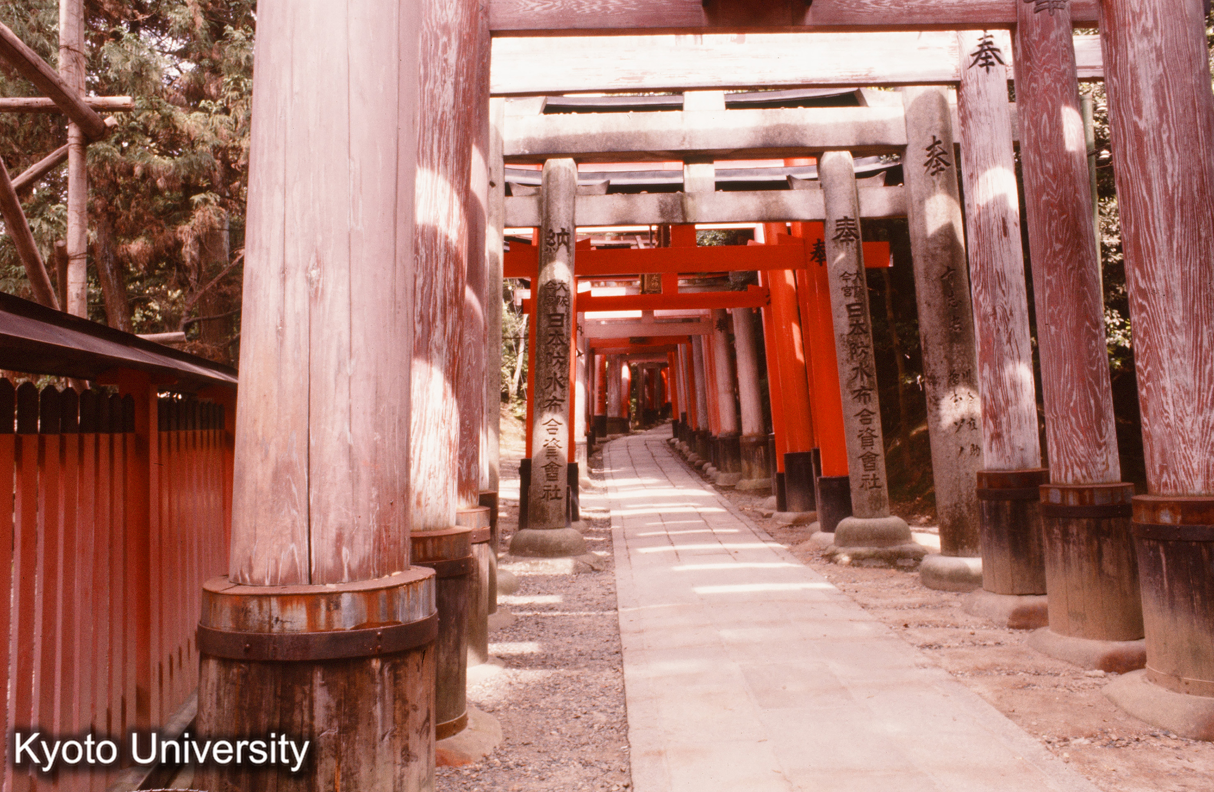 伏見稲荷大社 (1)