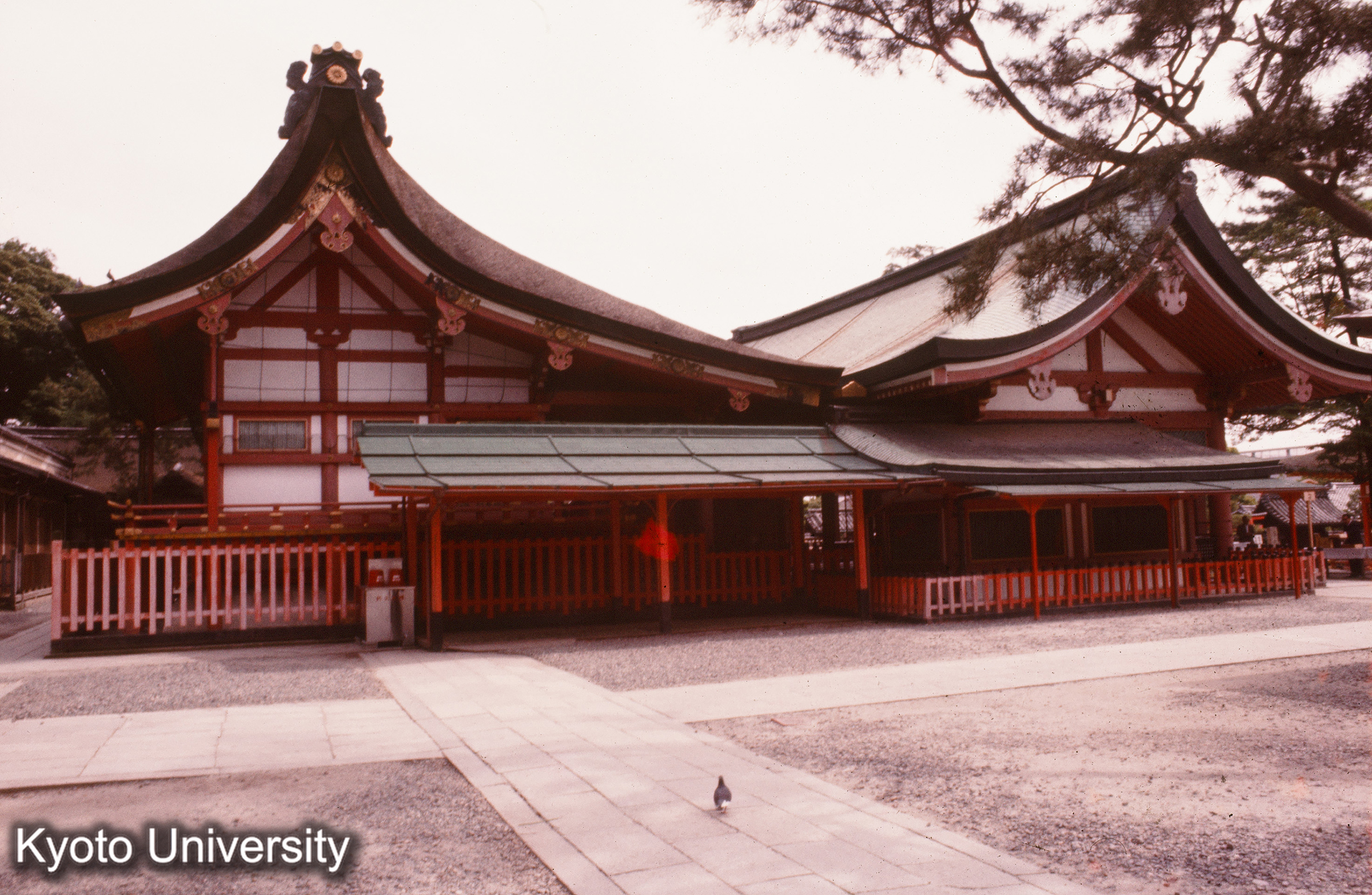 伏見稲荷大社 (1)