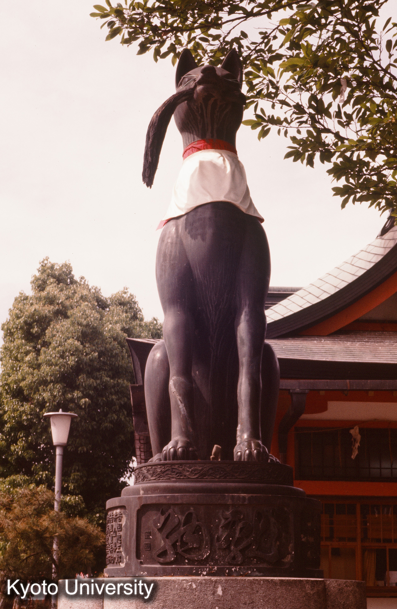 伏見稲荷大社 (1)