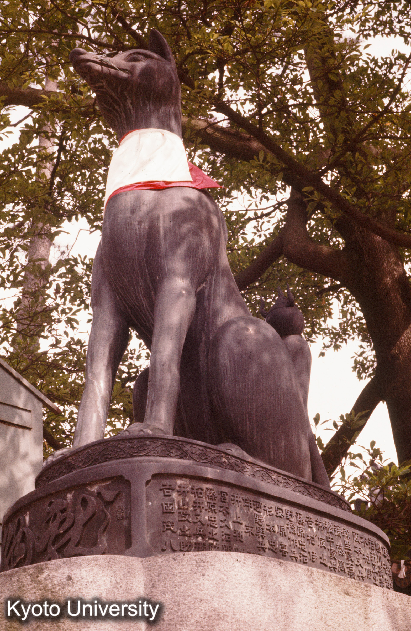 伏見稲荷大社 (1)