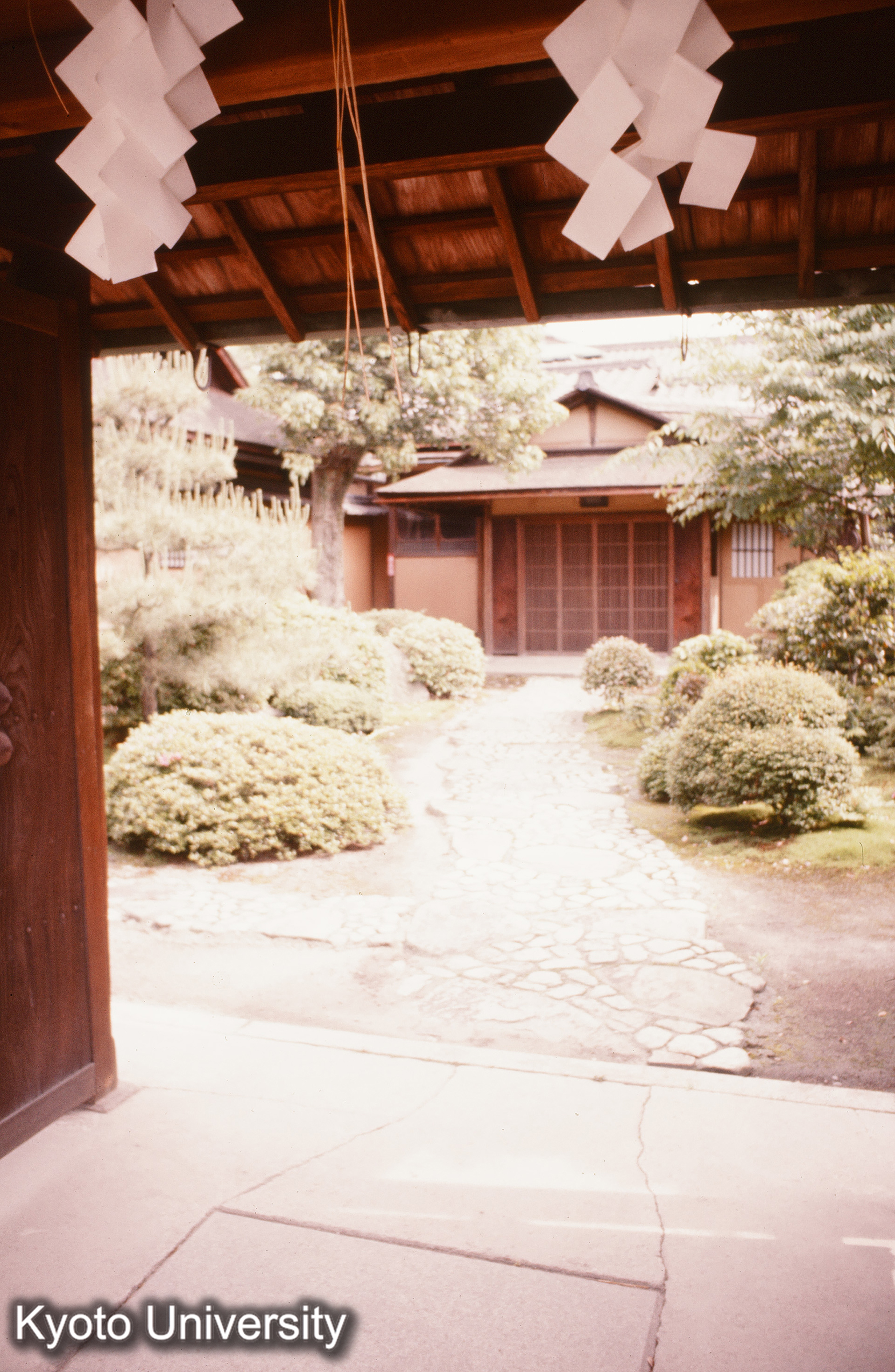 伏見稲荷大社 (1)