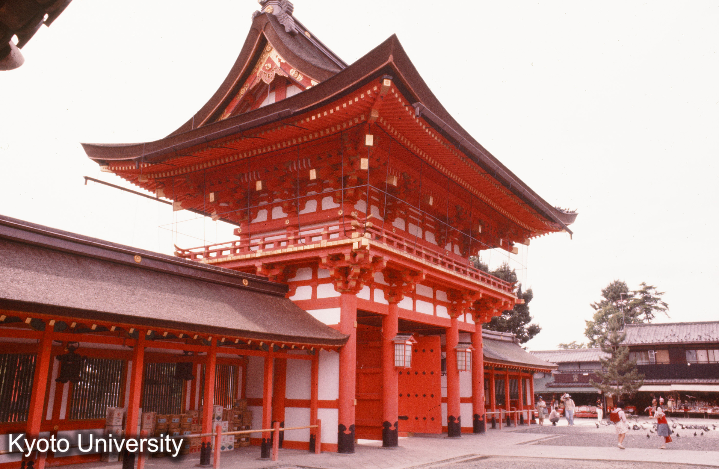 伏見稲荷大社 (1)