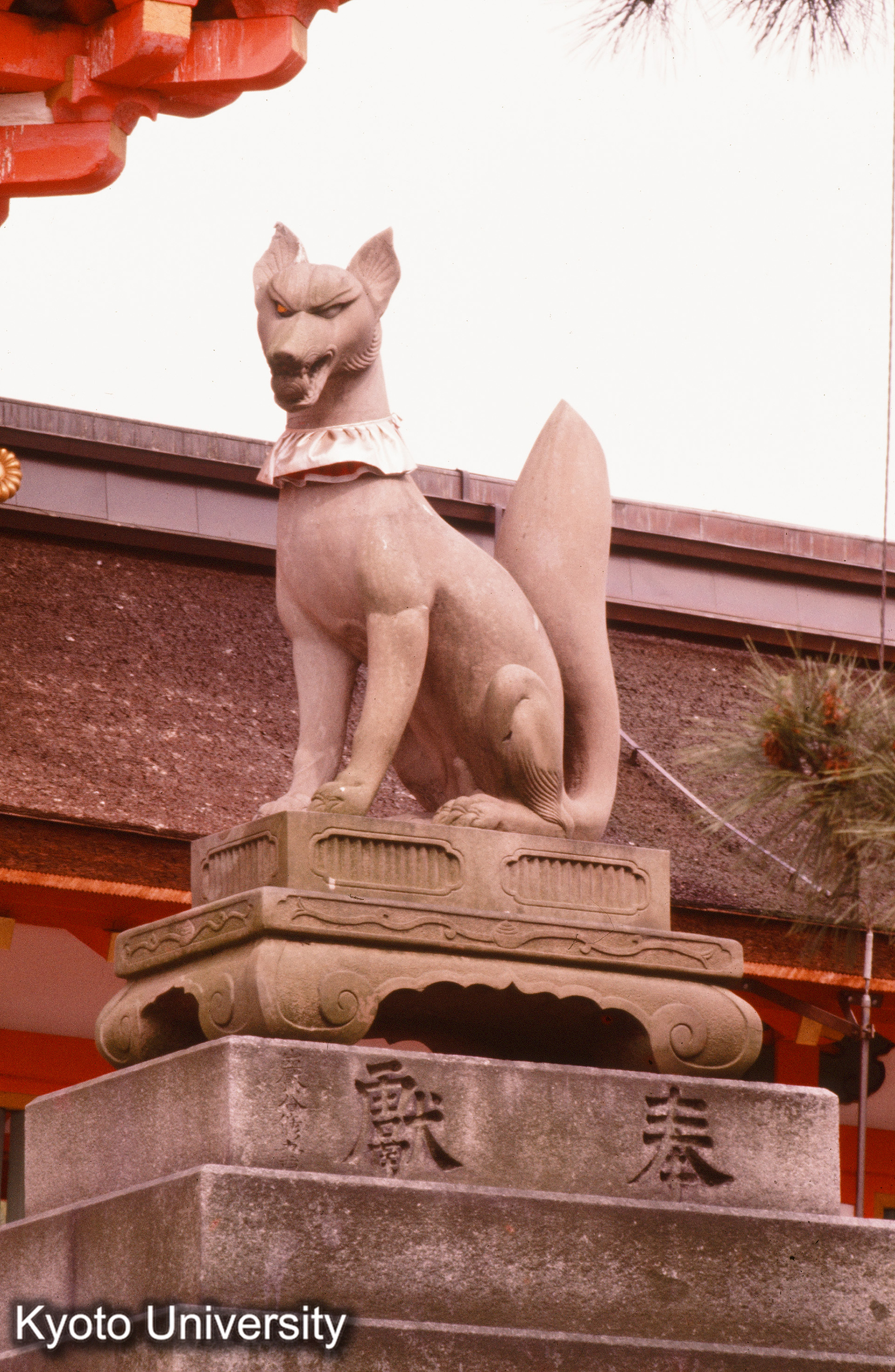 伏見稲荷大社 (1)