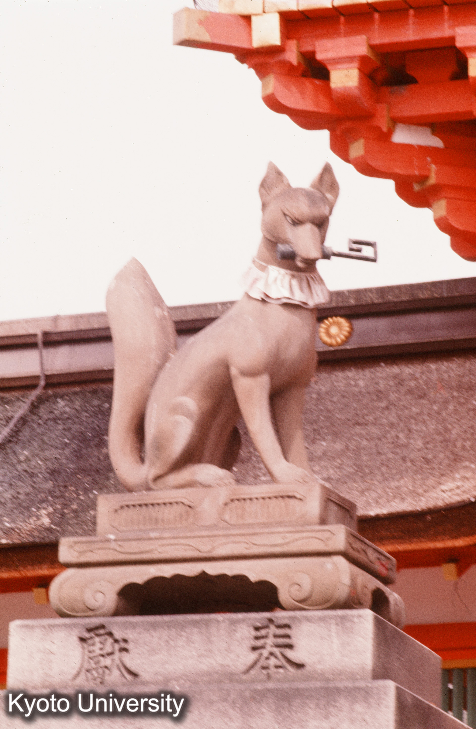 伏見稲荷大社 (1)