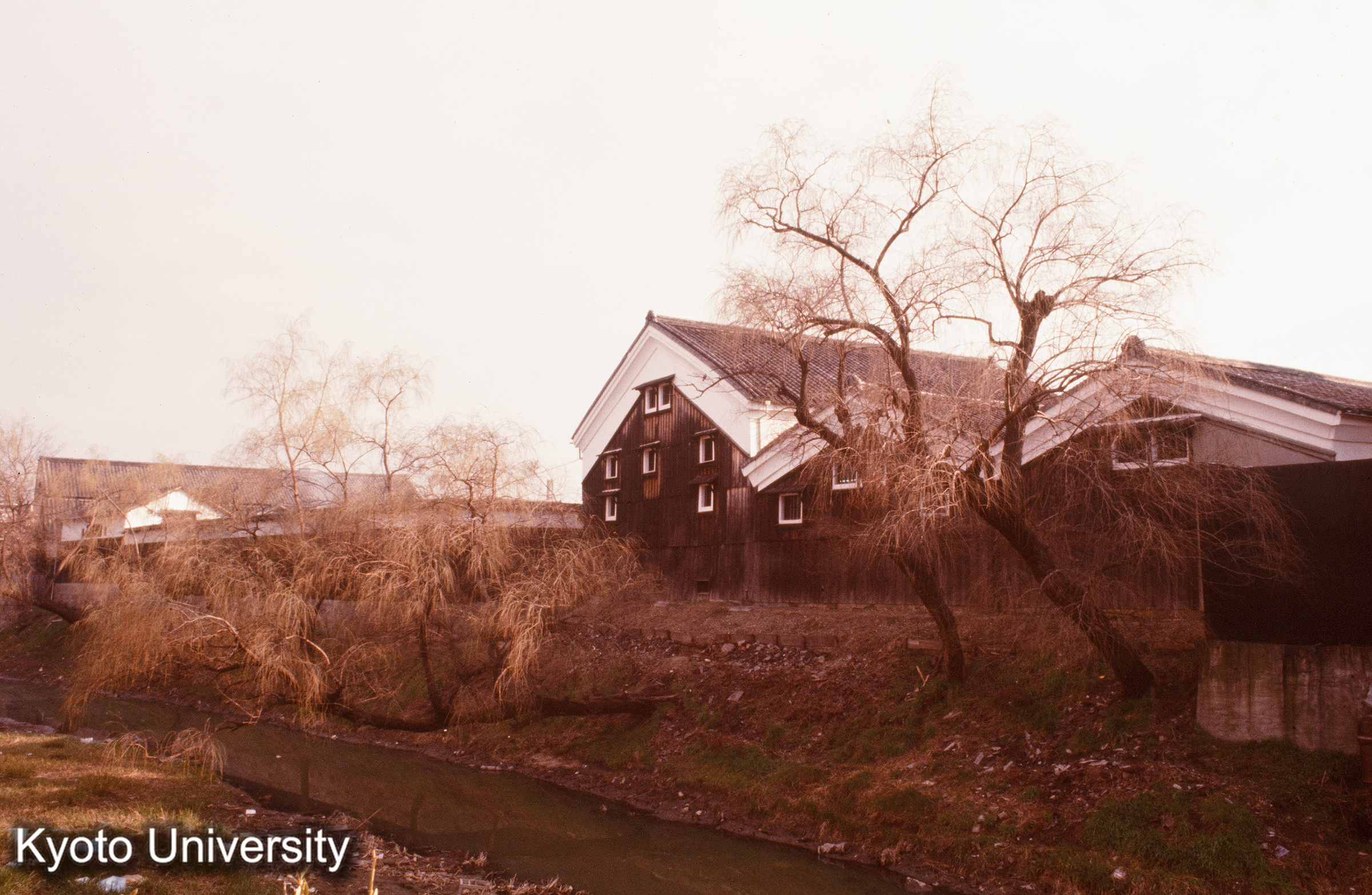 ［スライド］ (1)