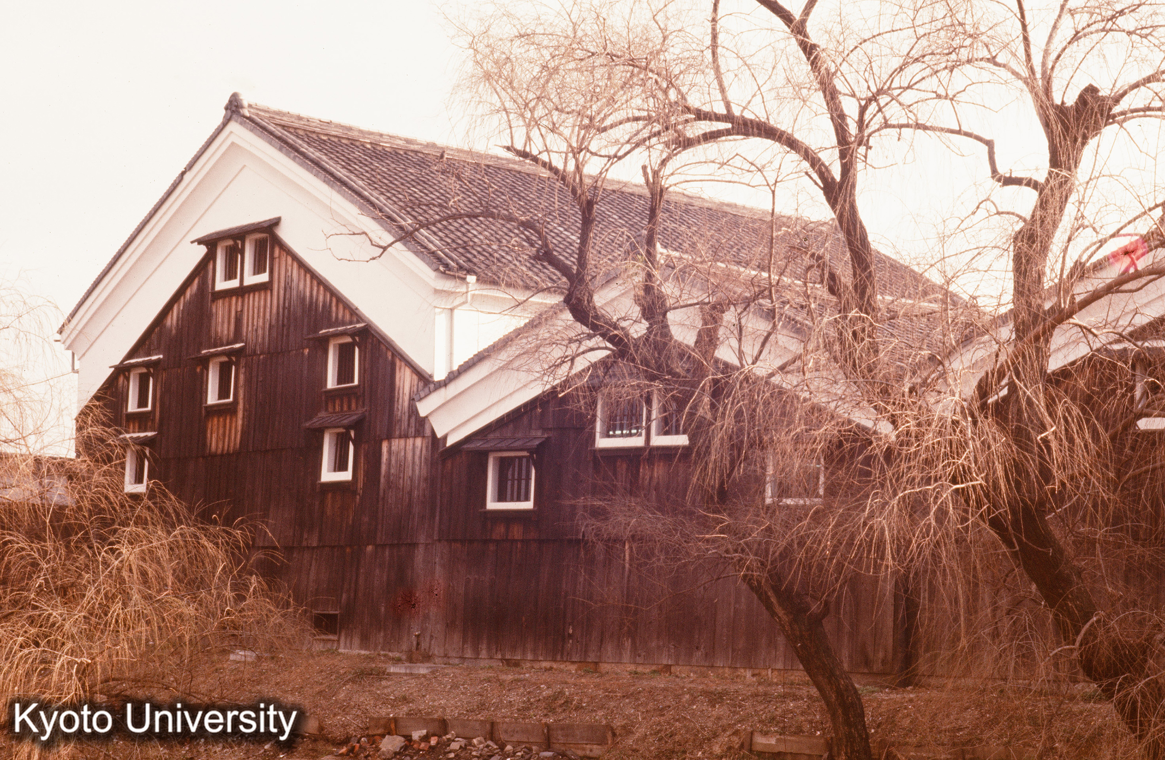 大倉酒造（伏見南浜） (1)