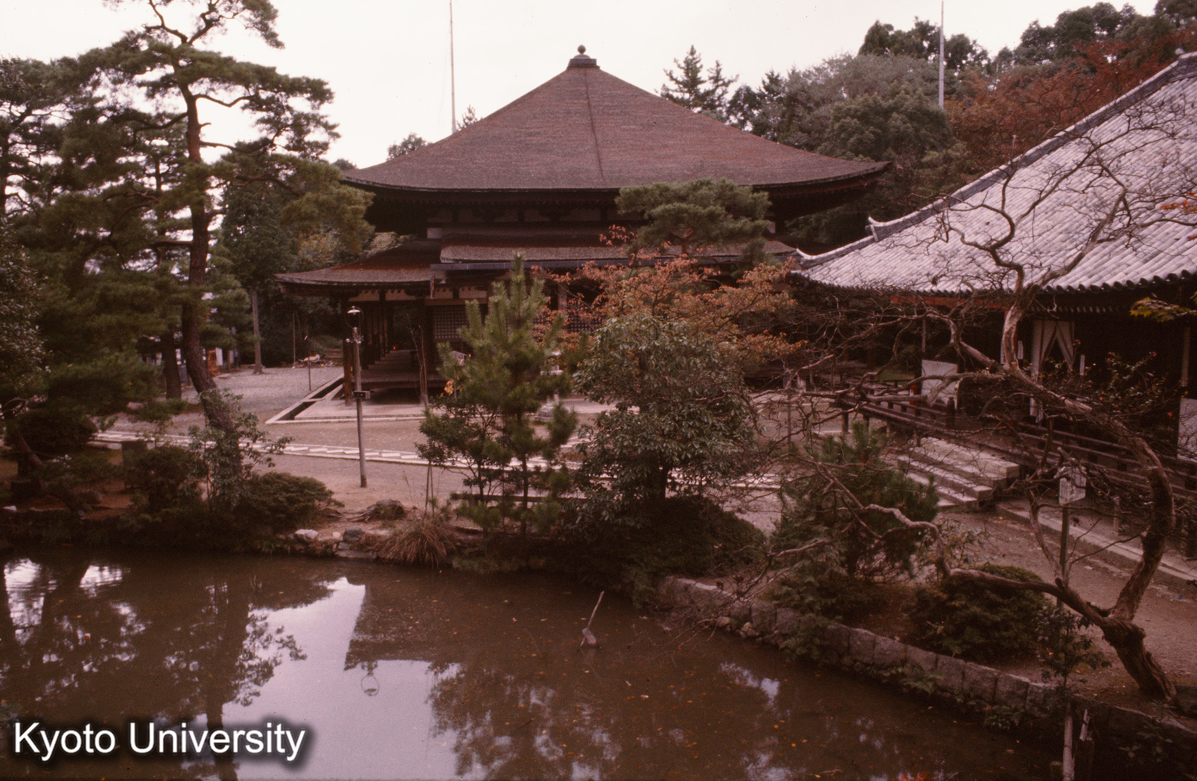 法界寺阿弥陀堂 正面池の向岸よりのぞむ (1)