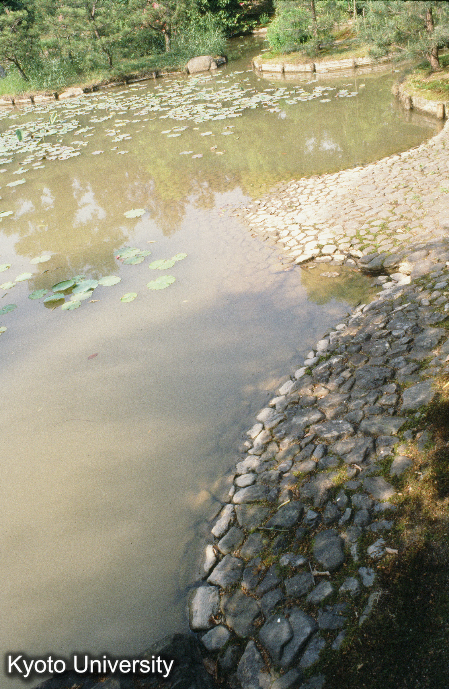 9_法金剛院庭園苑池 駁岸 (1)