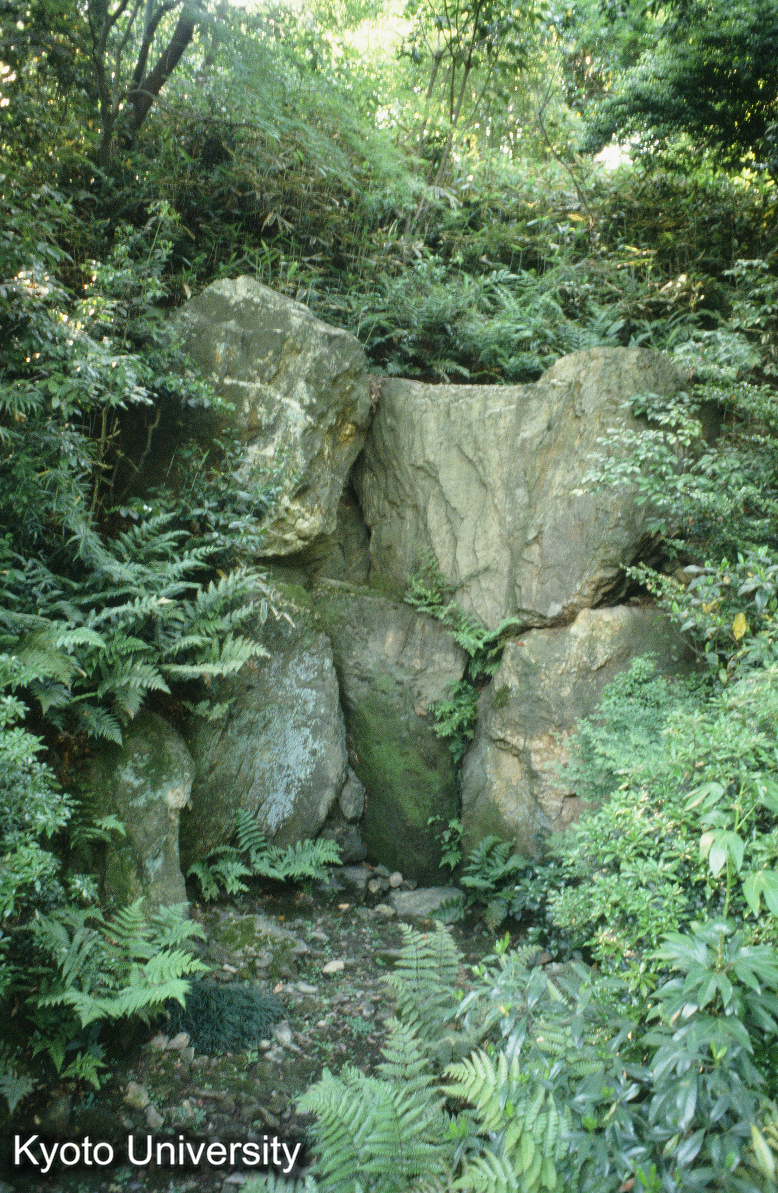 法金剛院庭園 瀑布 (1)