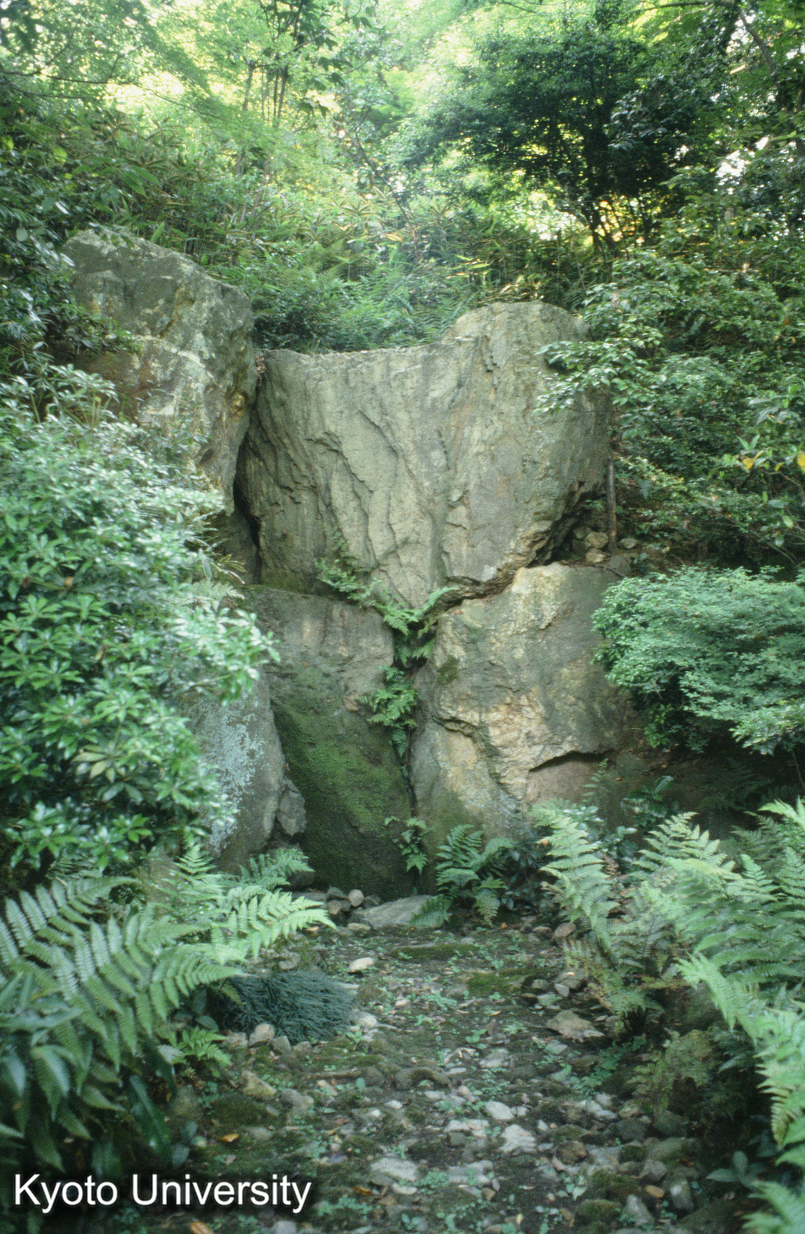 5_法金剛院庭園 瀑布 (1)