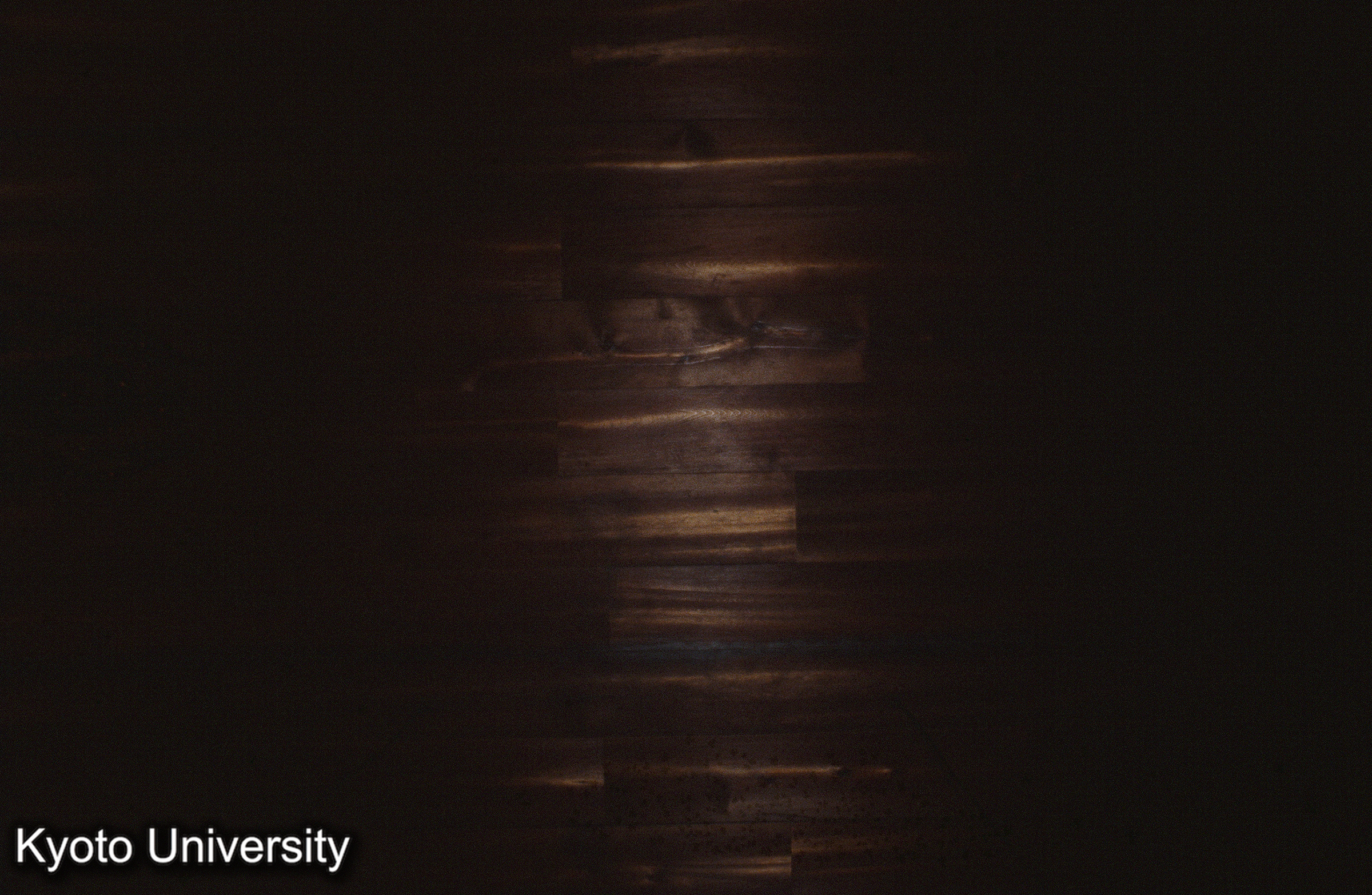 妙心寺玉鳳院開山堂 (1)