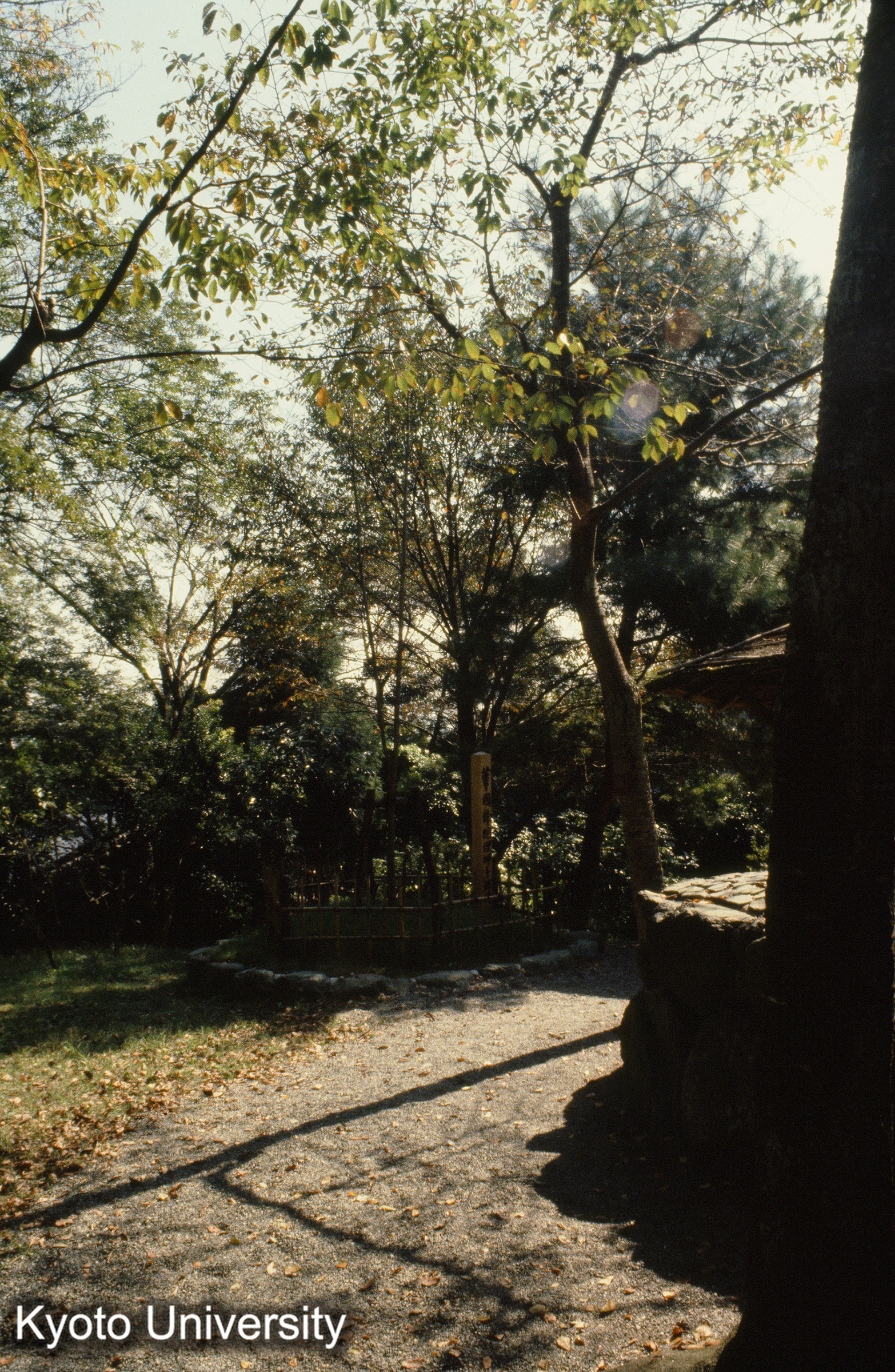 ［スライド］ (1)