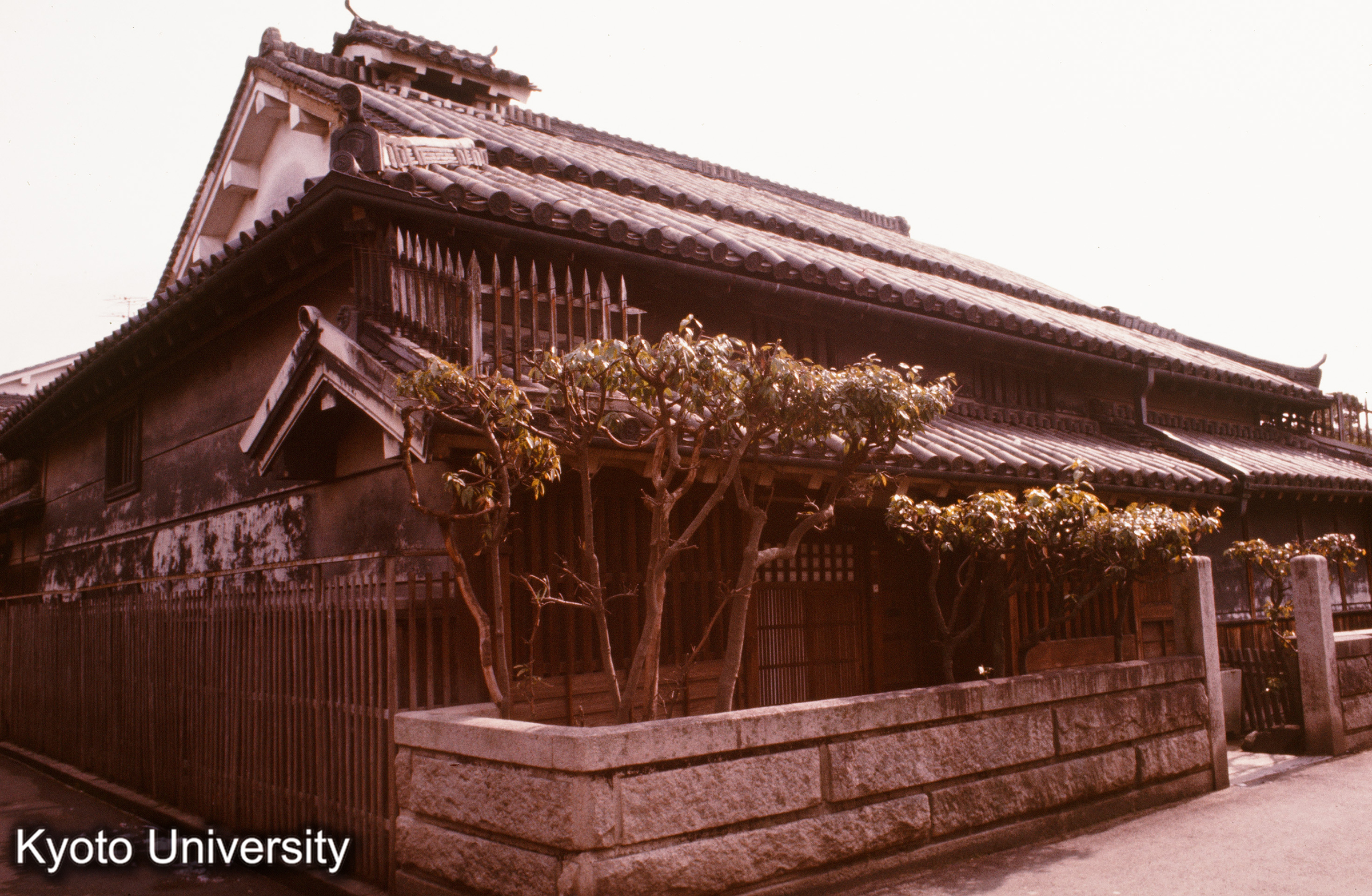 上田家（今井町） (1)