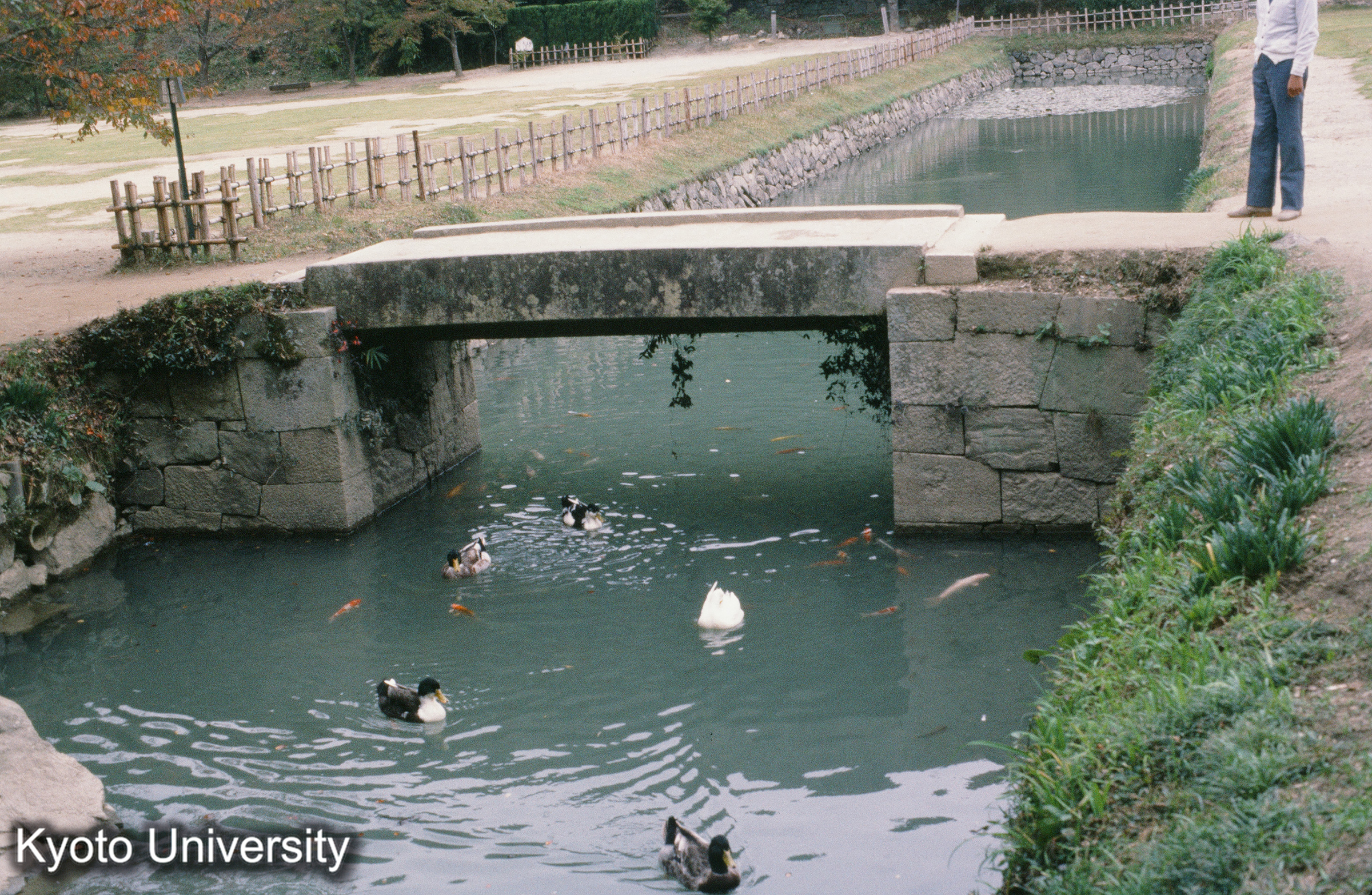 ［スライド］ (1)