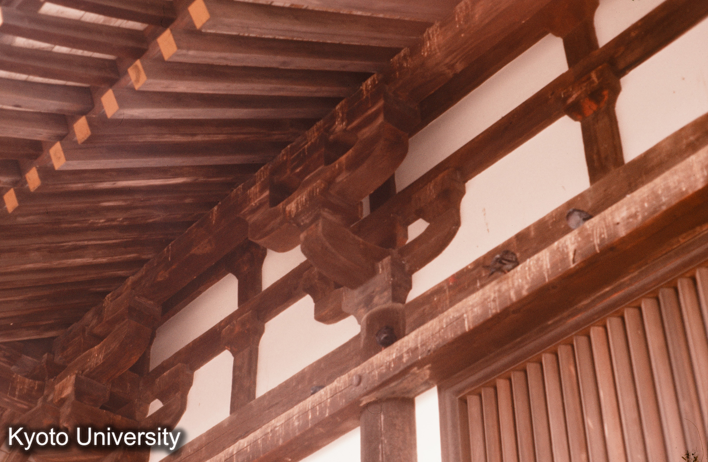 ［スライド］ (1)