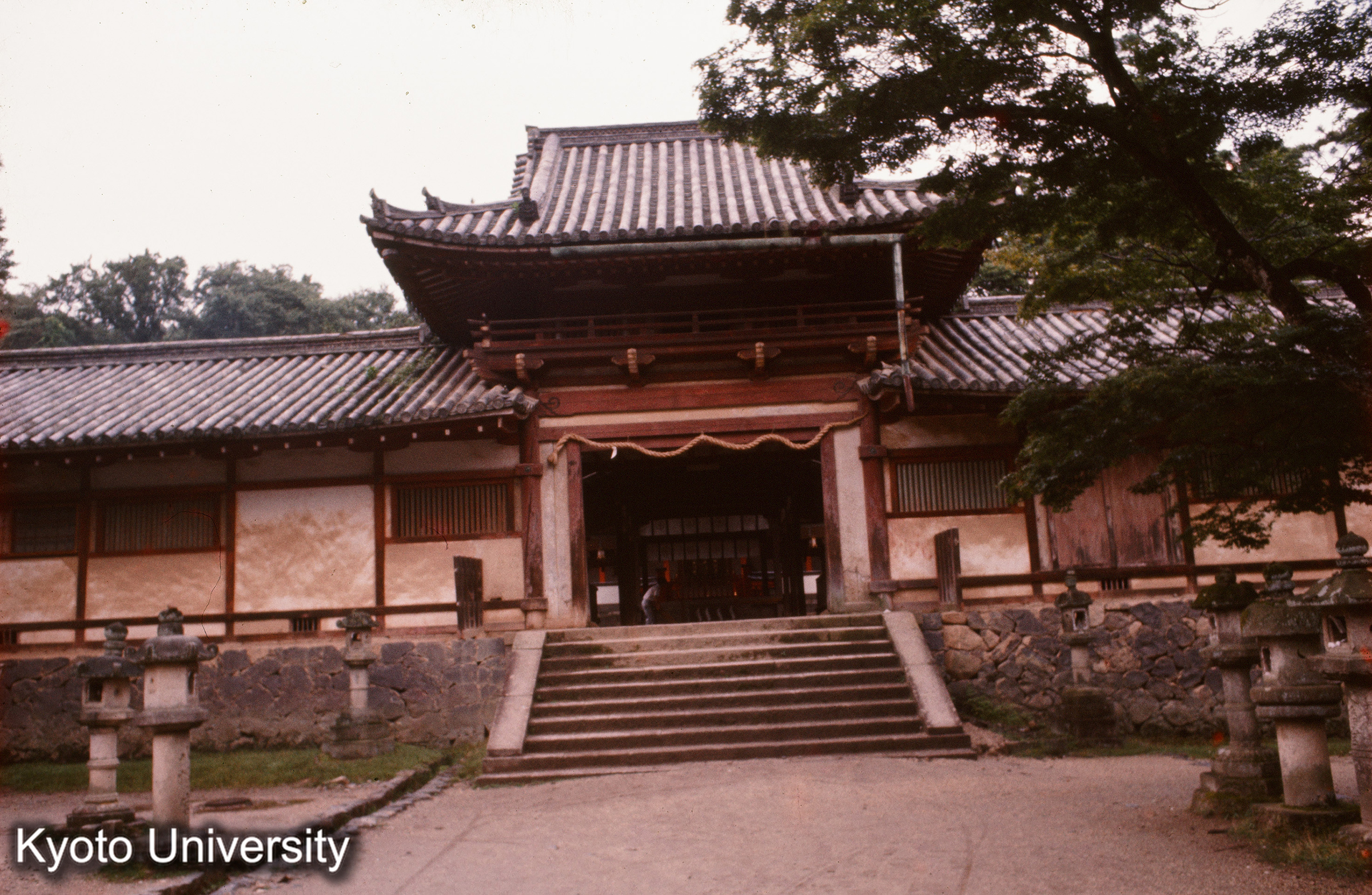 ［スライド］ (1)