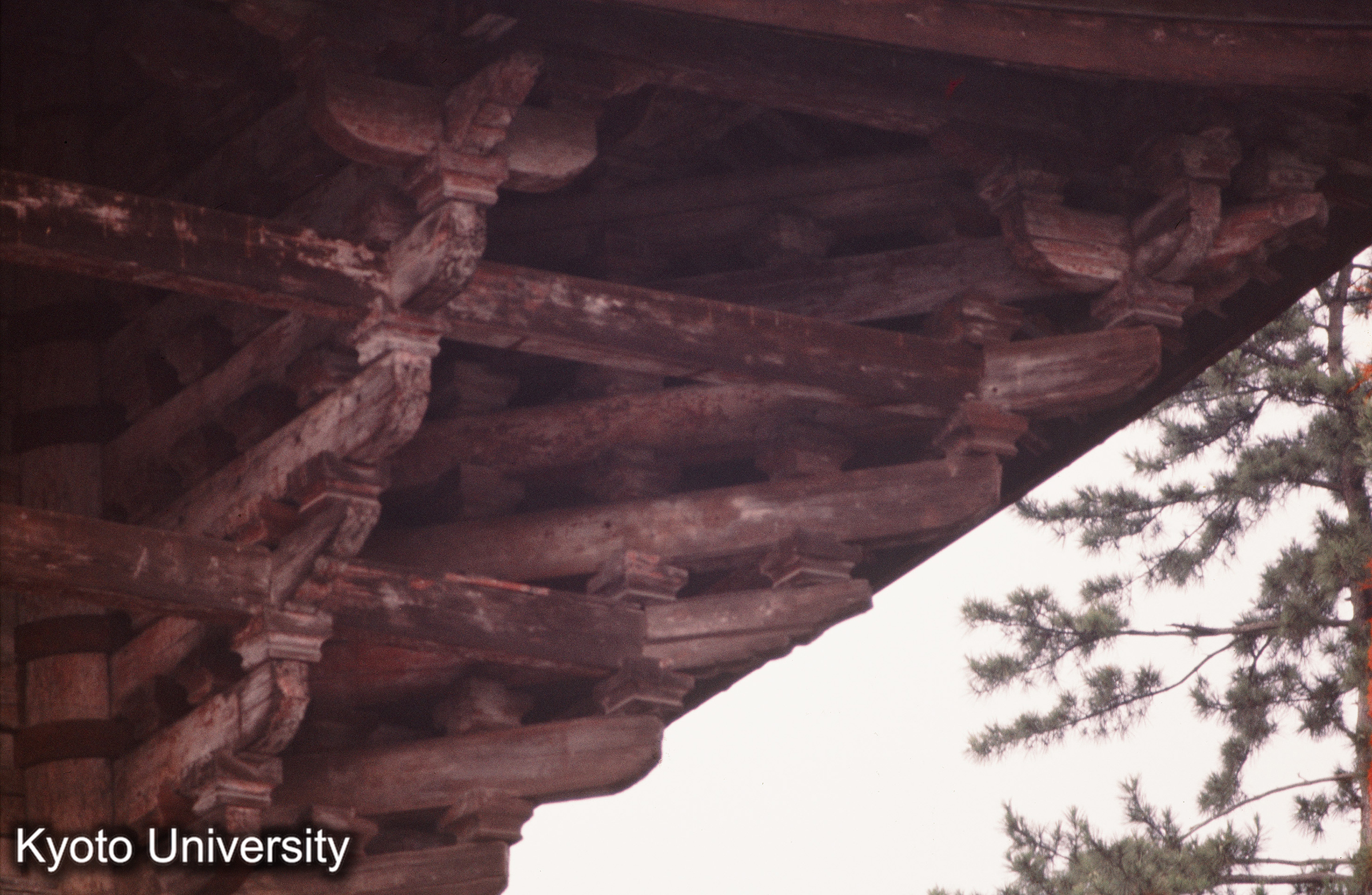 ［スライド］ (1)