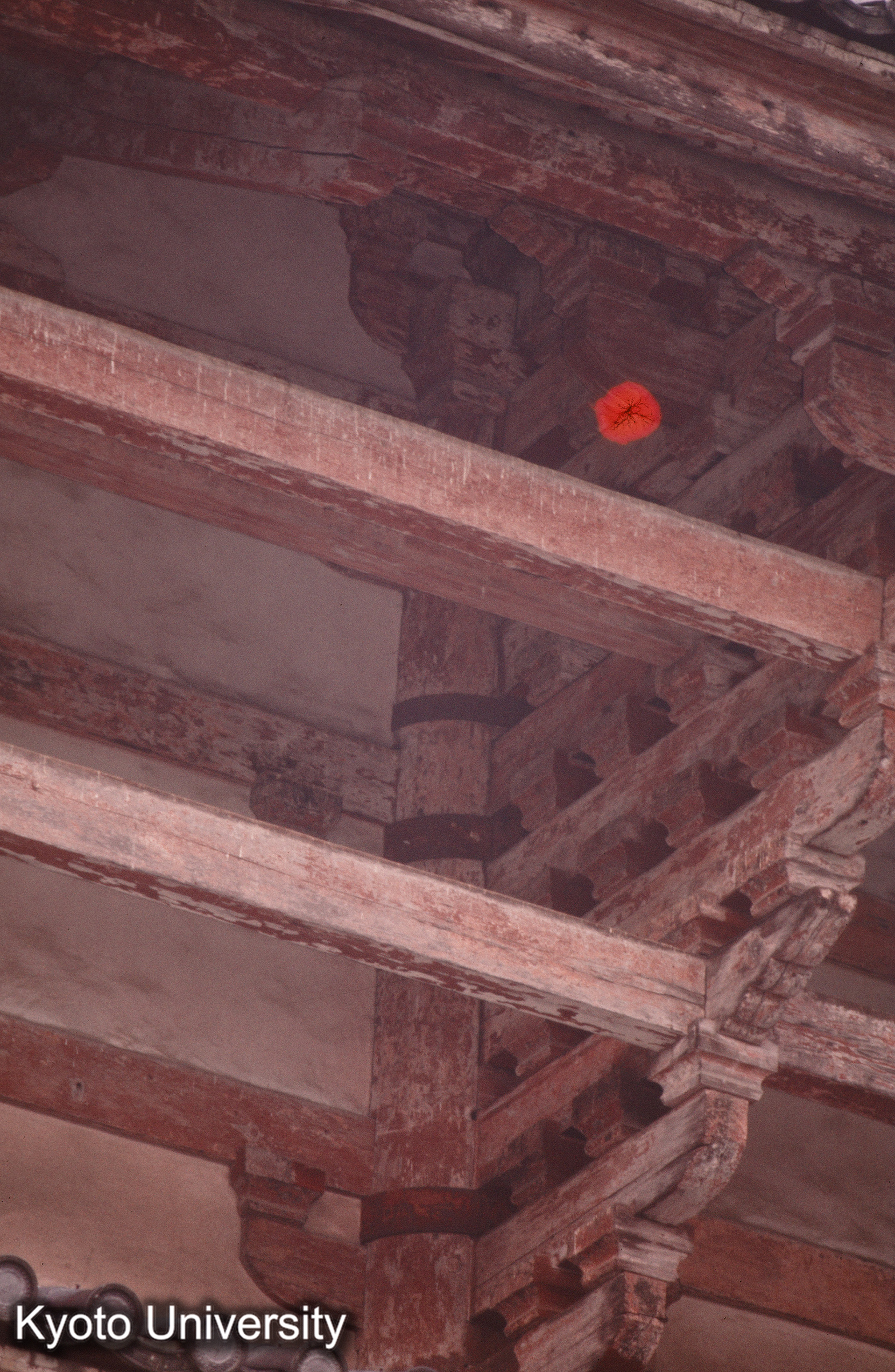 ［スライド］ (1)