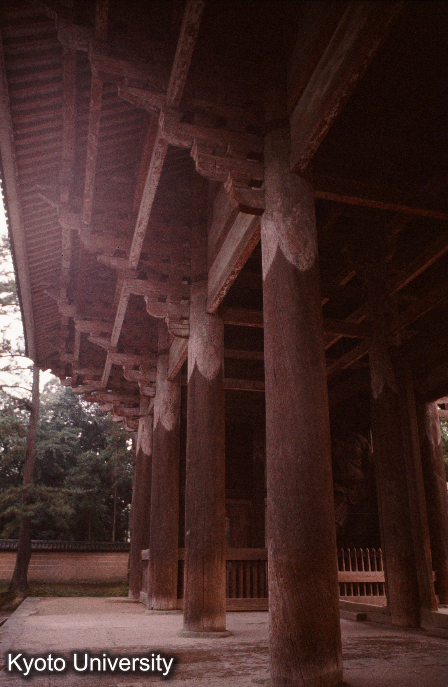東大寺南大門 (1)