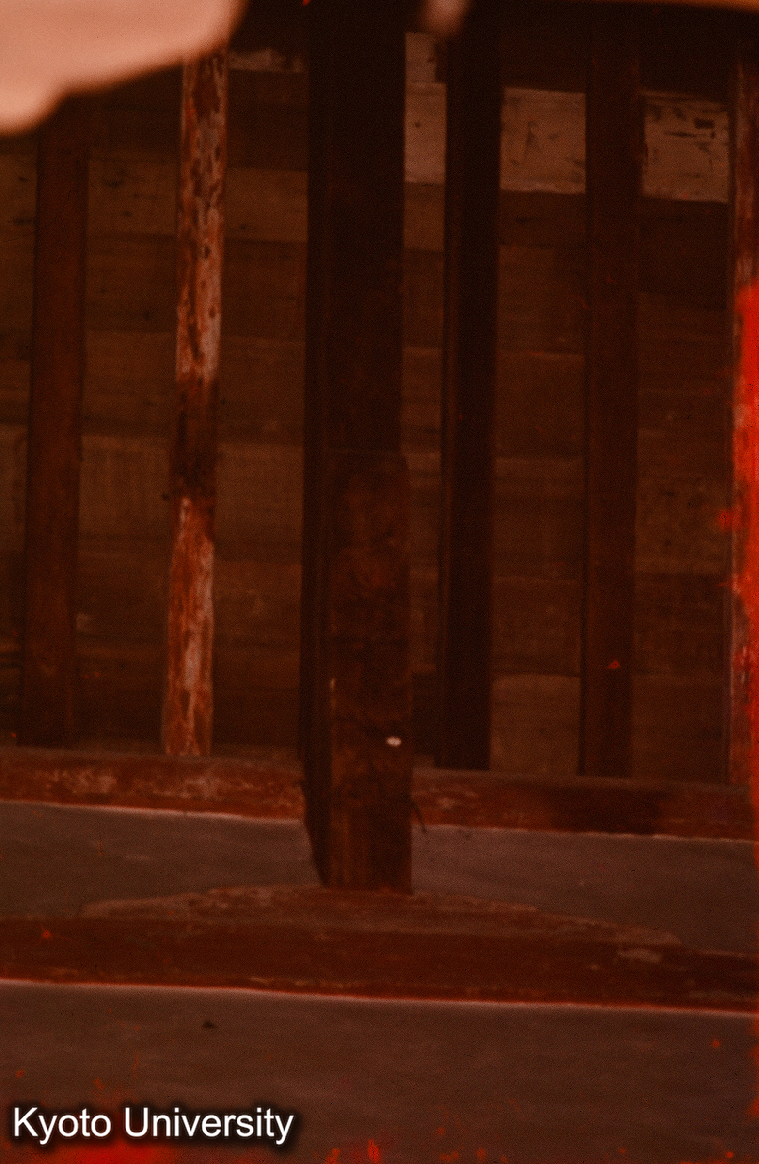 東大寺南大門 遊離尾垂木 (1)