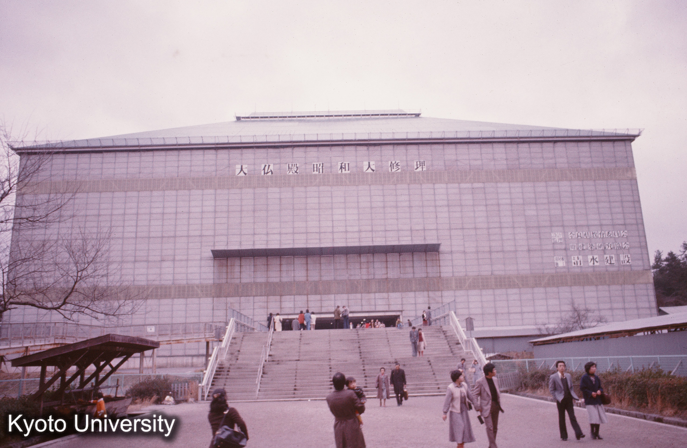 東大寺大仏殿修復 (1)