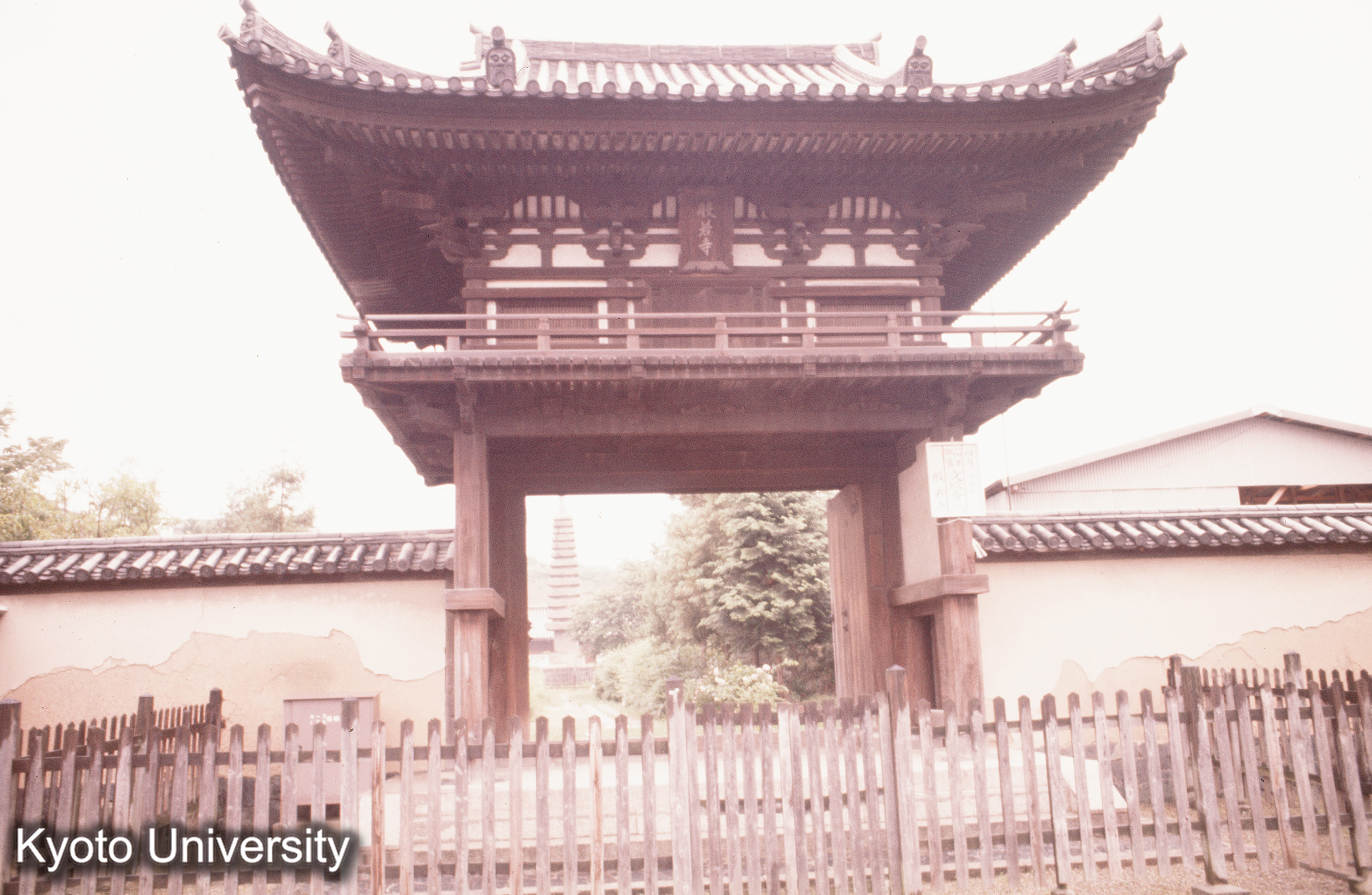 ［スライド］ (1)