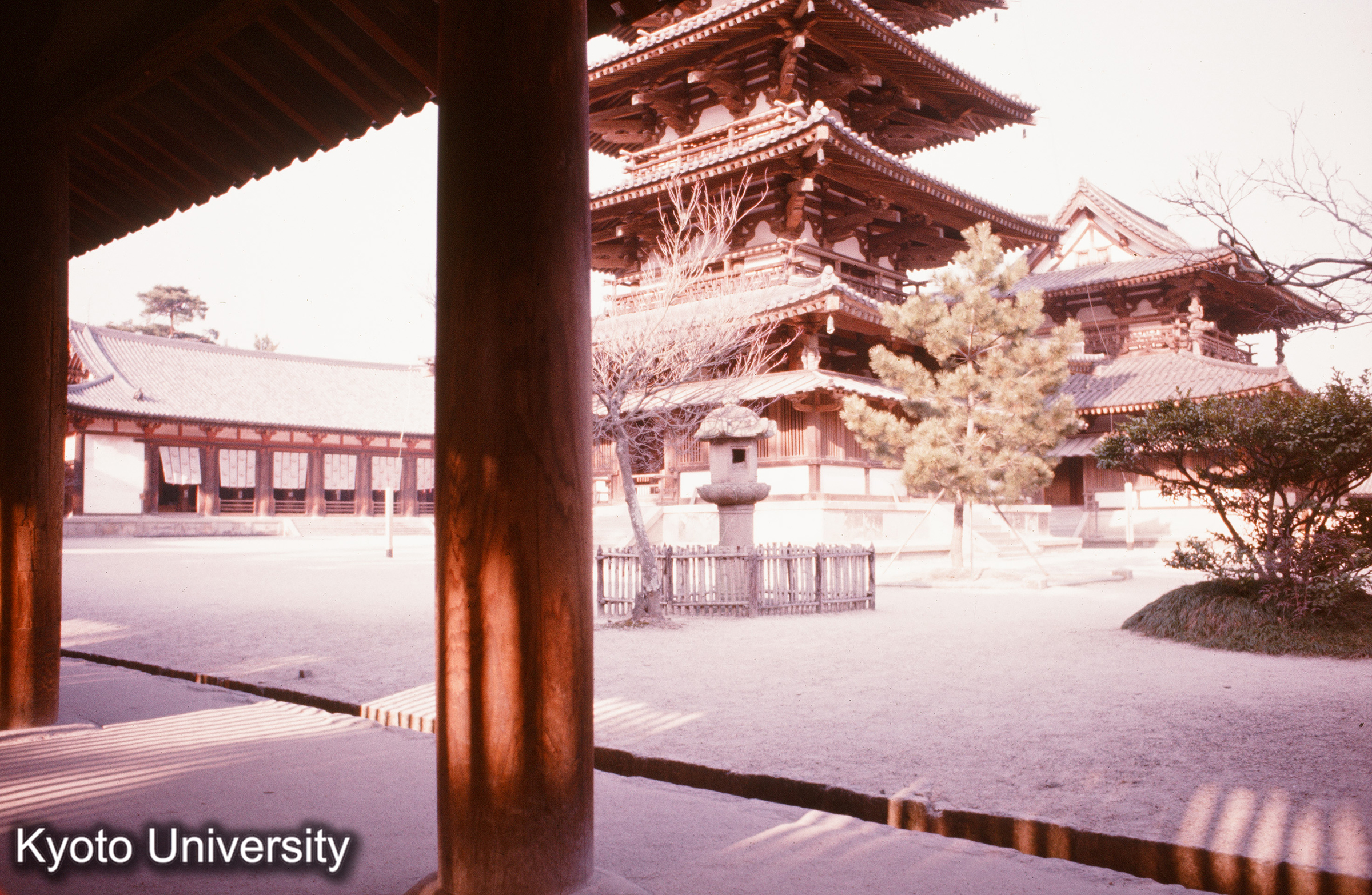 法隆寺 西院伽藍 回廊より五重塔・金堂・大講堂 (1)