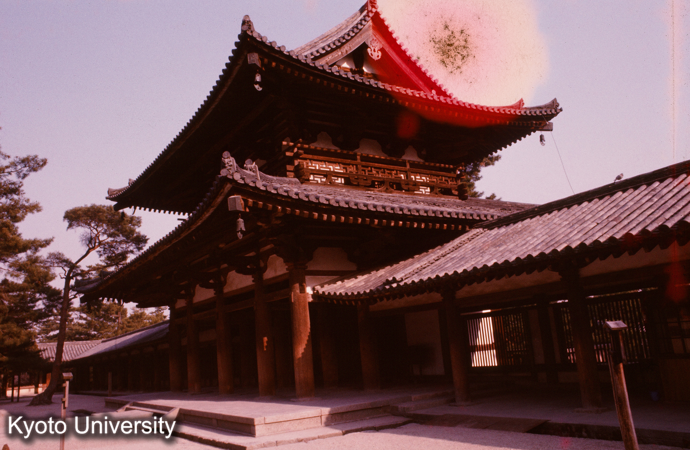 法隆寺 中門 側背面 (1)