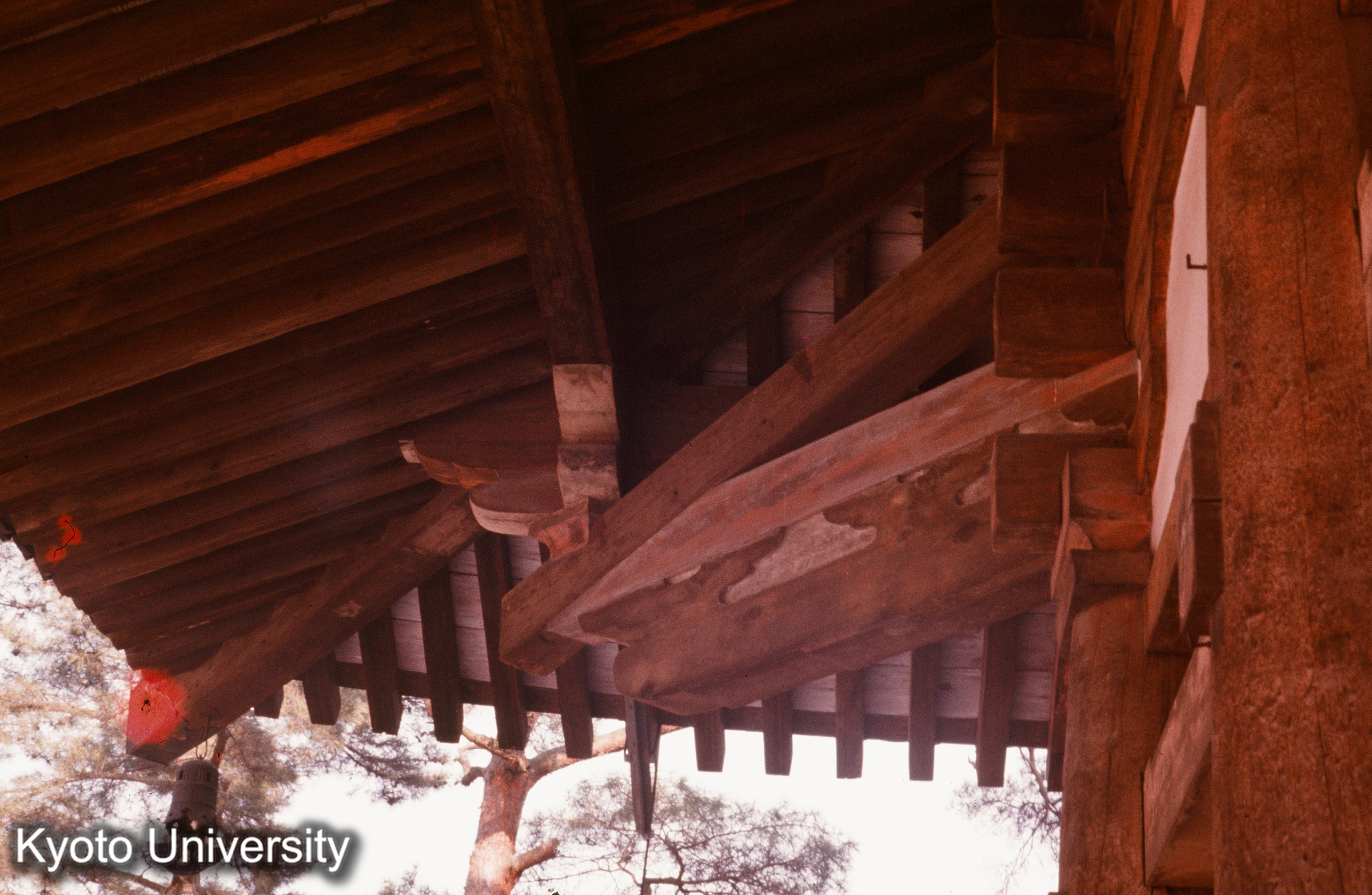 法隆寺 中門 隅尾垂木 (1)