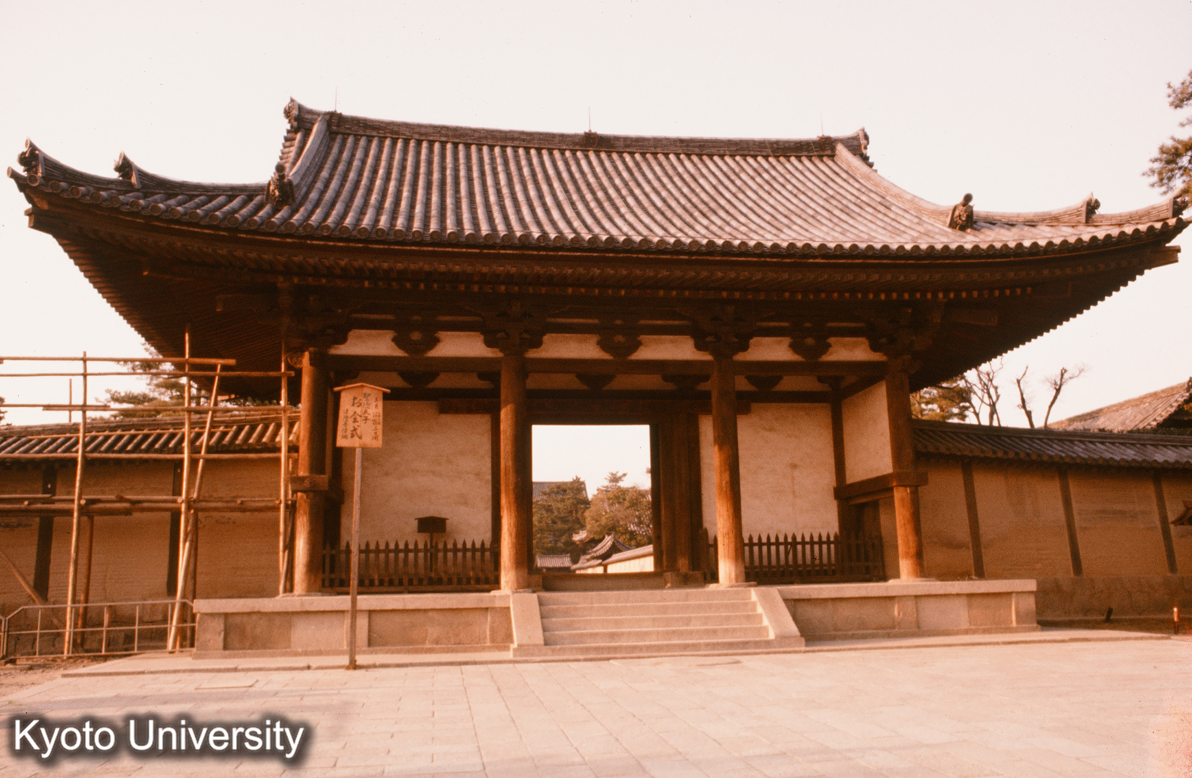 ［スライド］ (1)