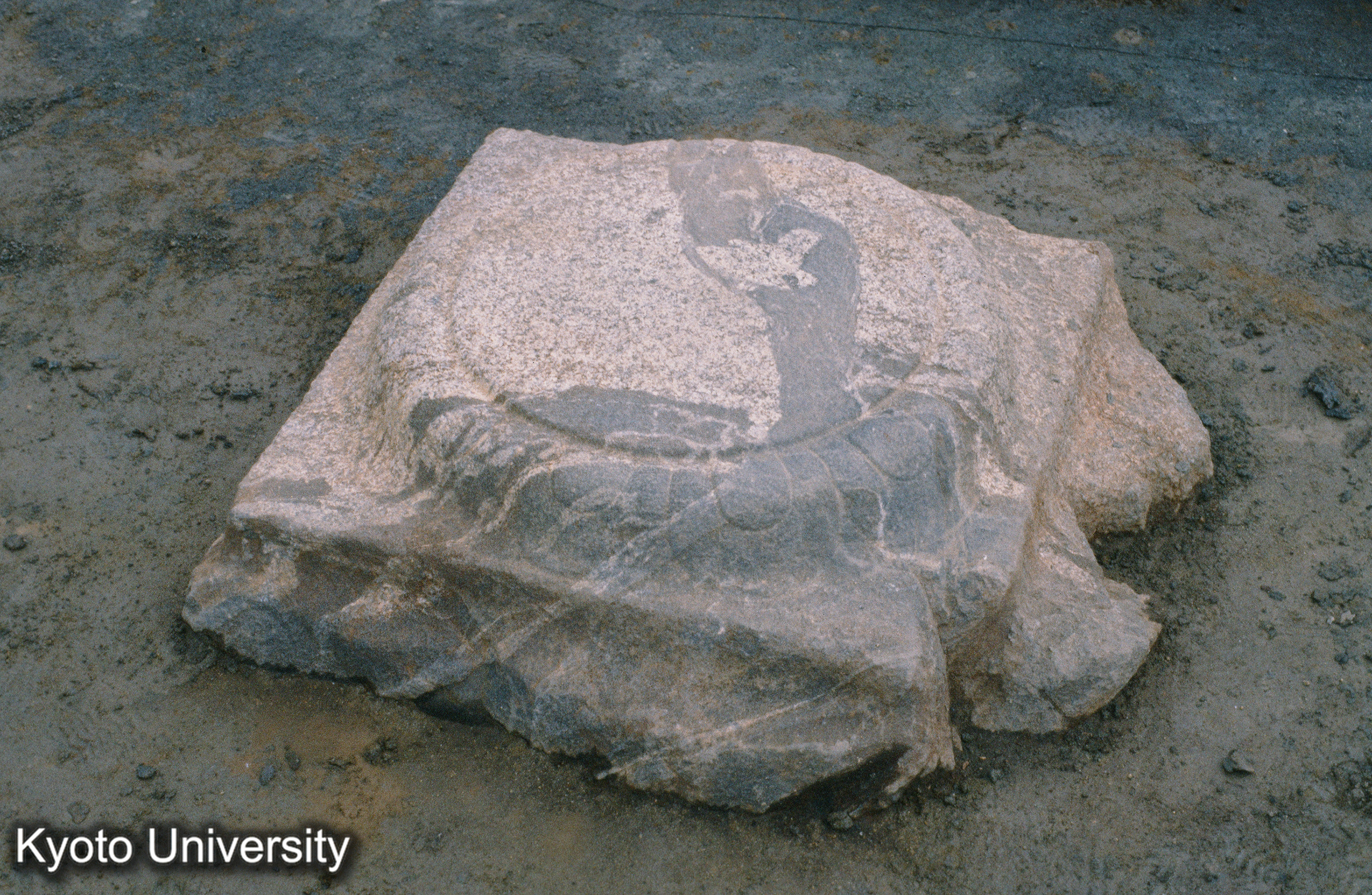 山田寺礎石（発掘） (1)