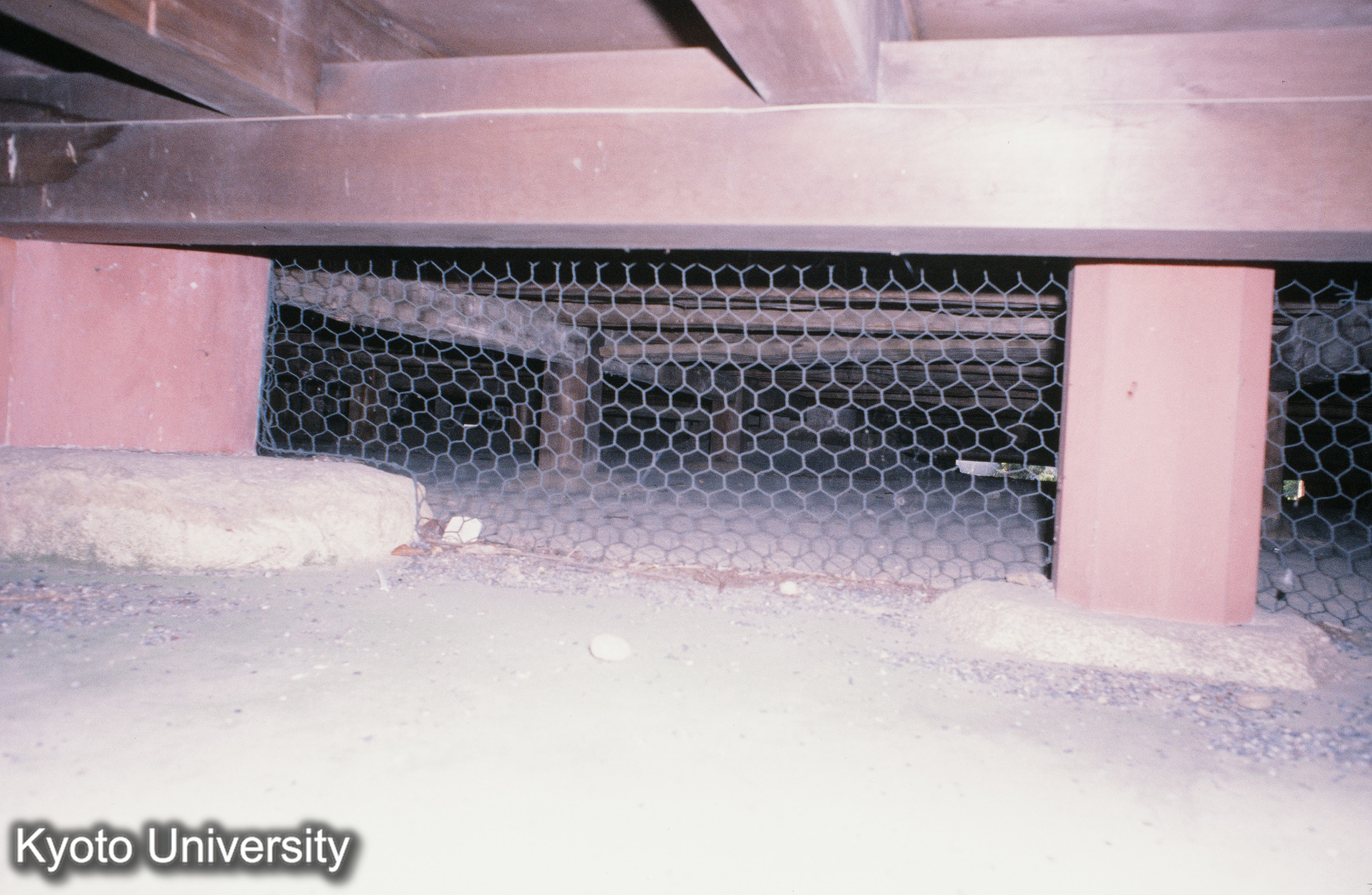 浄土寺 浄土堂 (1)