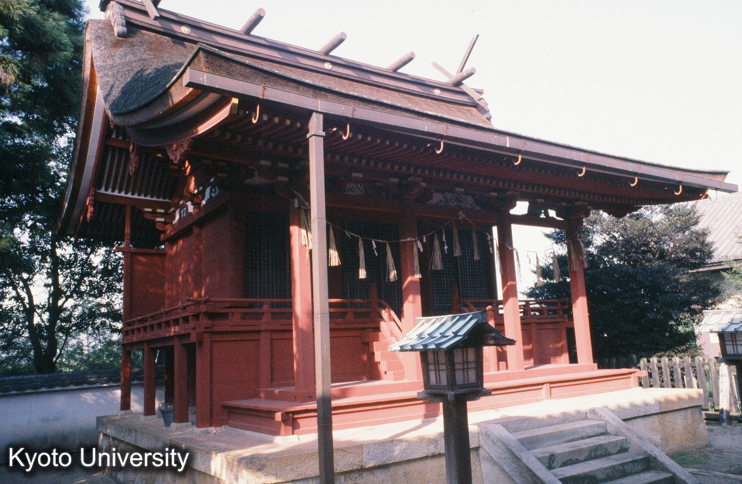 （浄土寺）八幡神社本殿 (1)