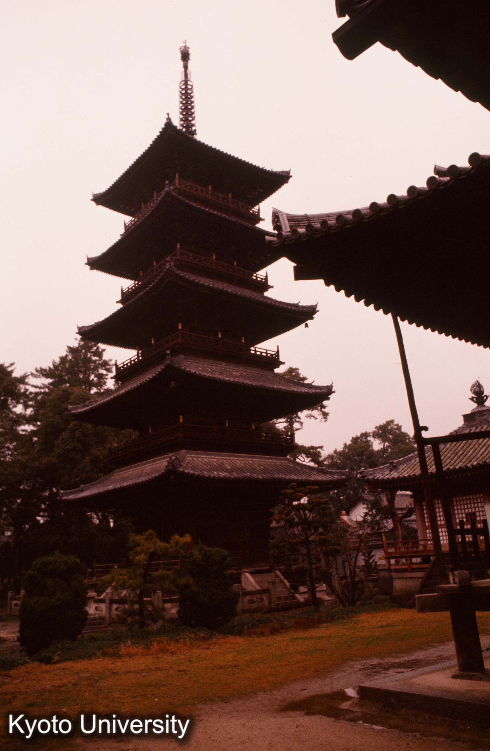 本山寺五重塔 (1)