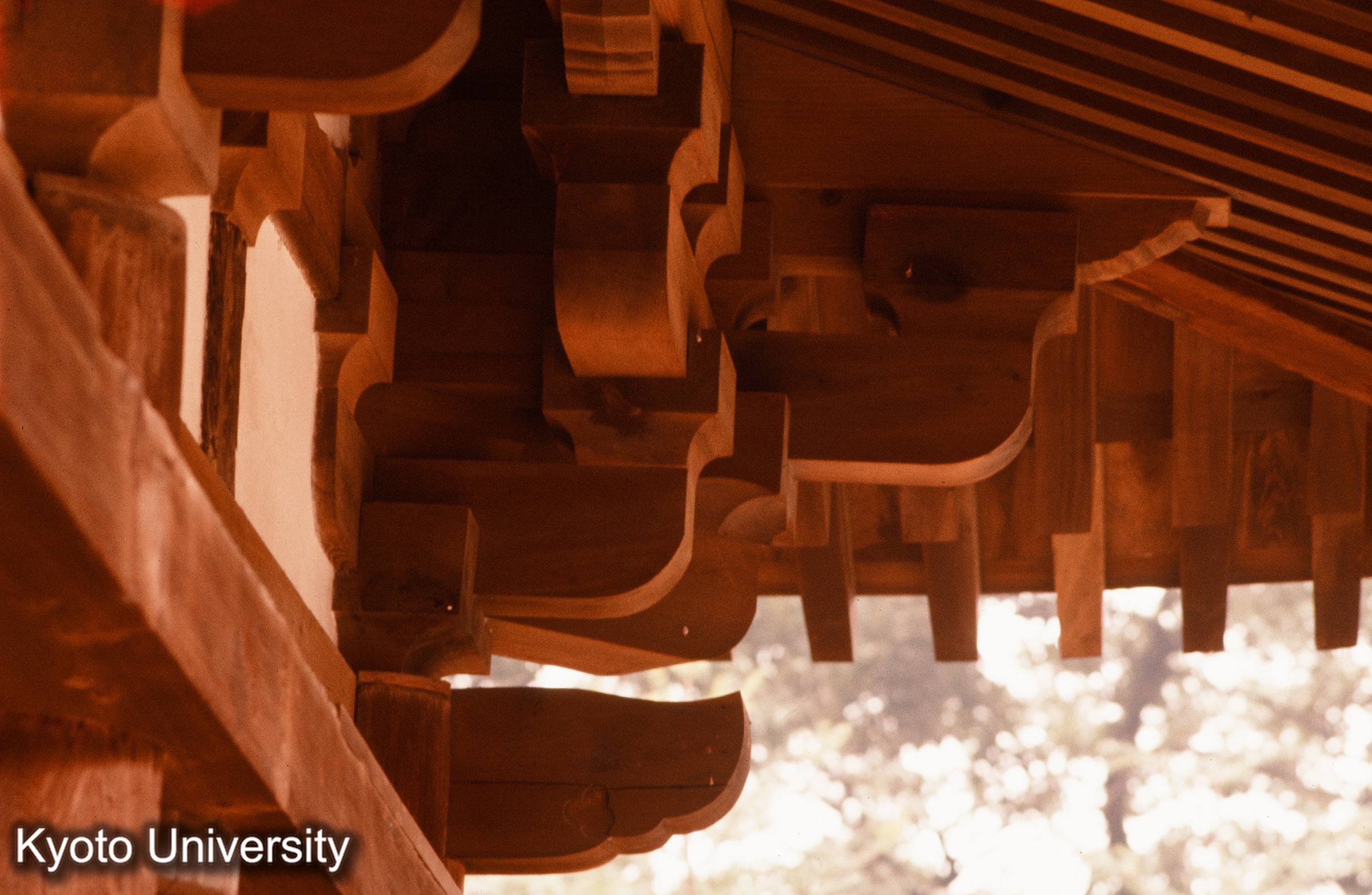 本山寺本堂 隅斗栱 (1)