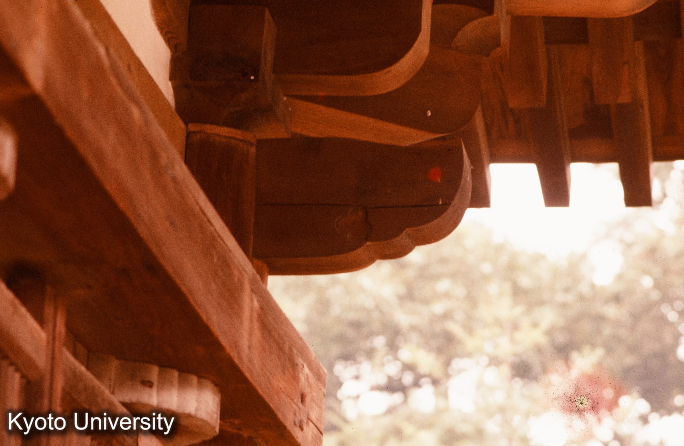 本山寺本堂 頭貫木鼻 (1)