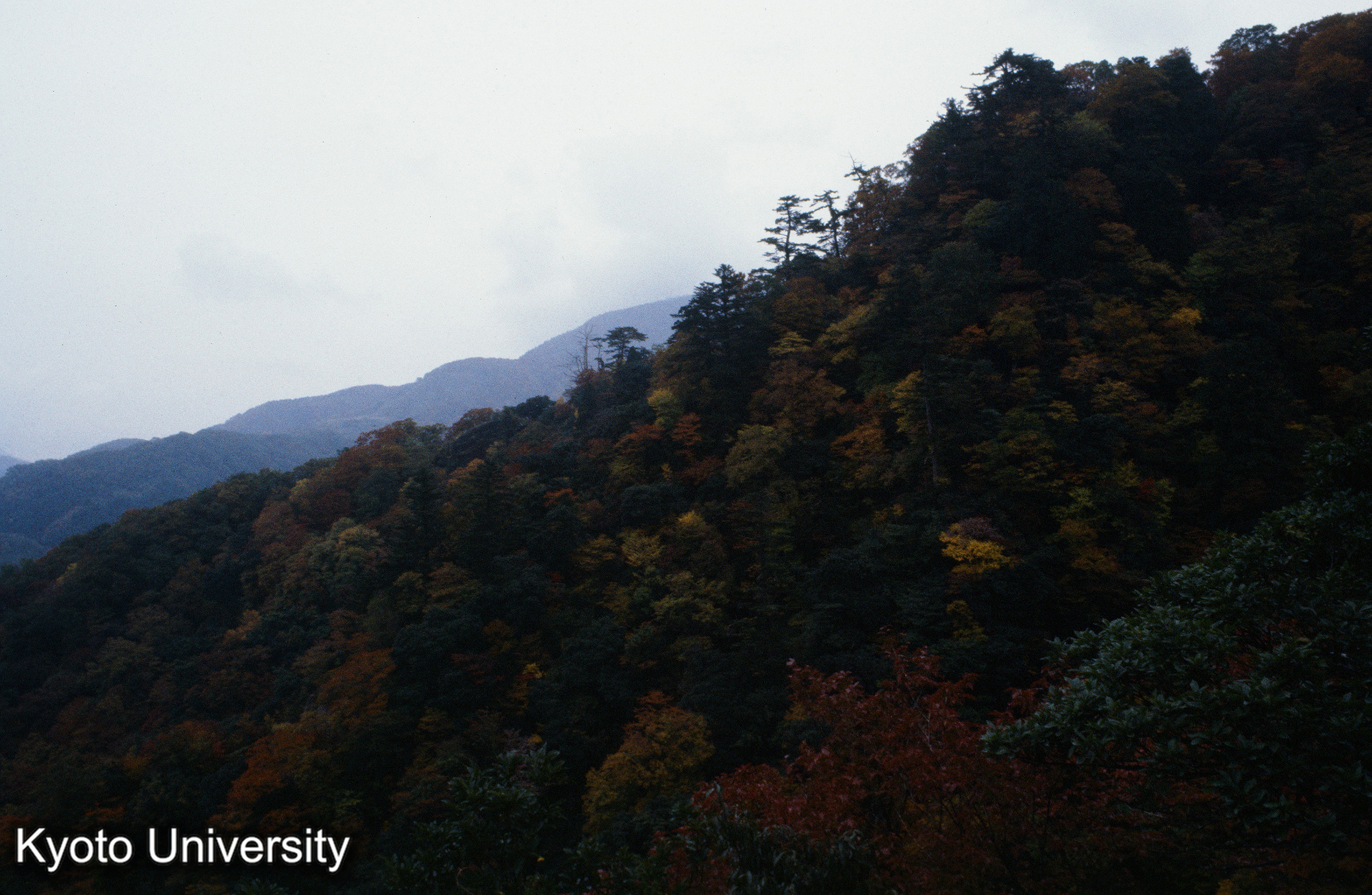 三仏寺 投入堂 (1)