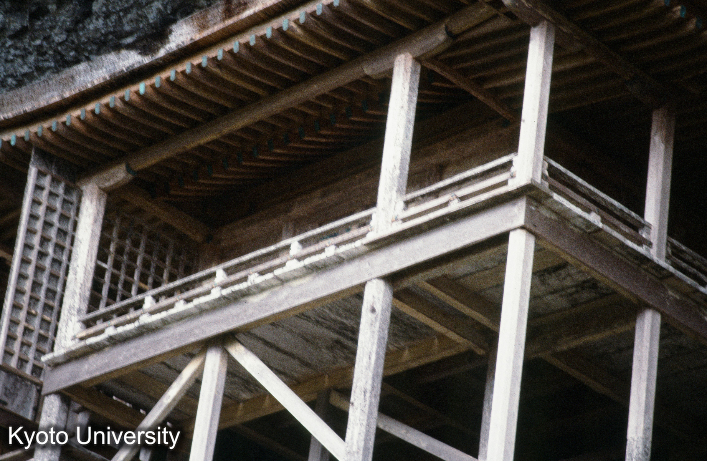 三仏寺 投入堂 (1)