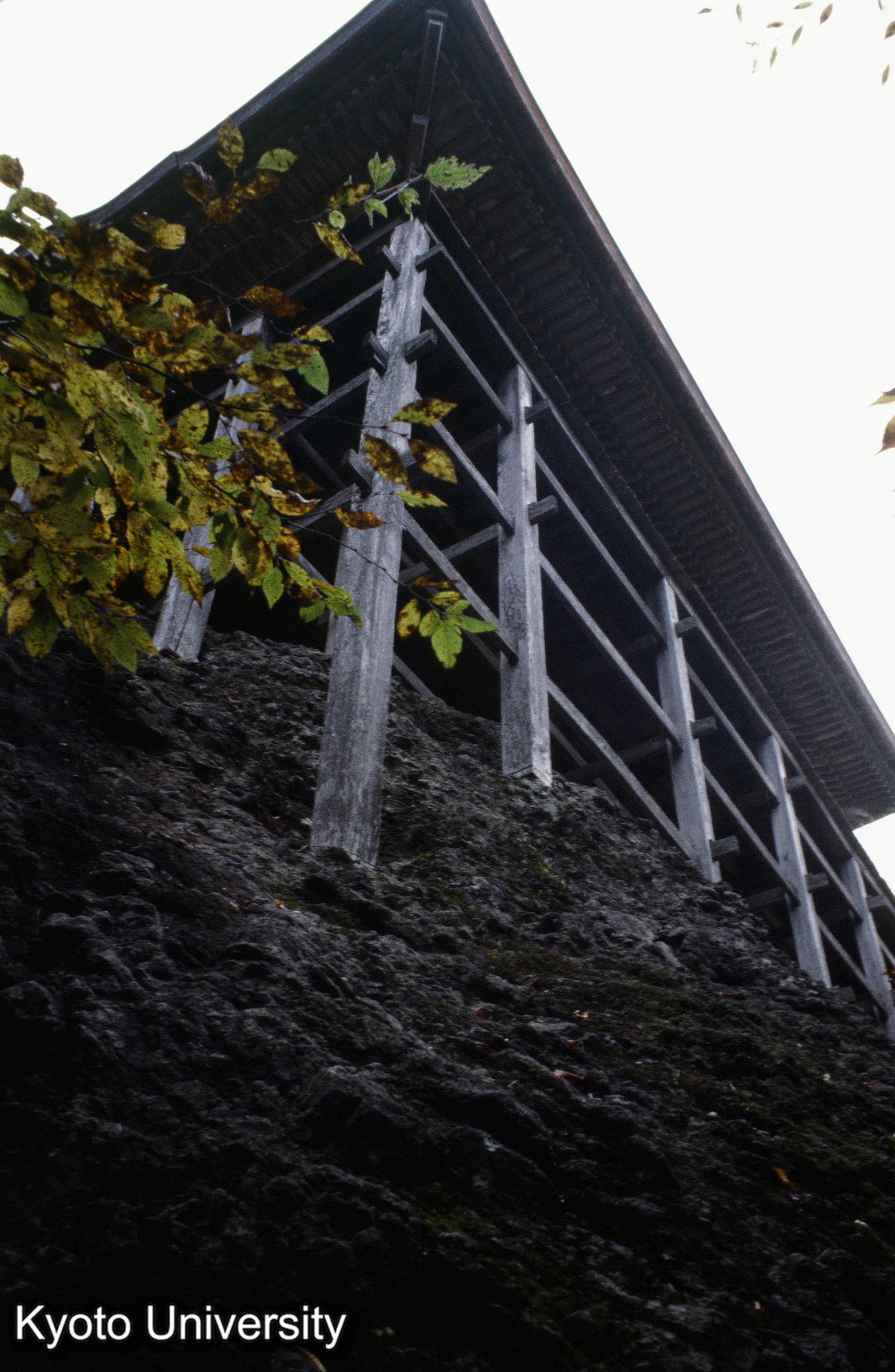 三仏寺 投入堂 (1)