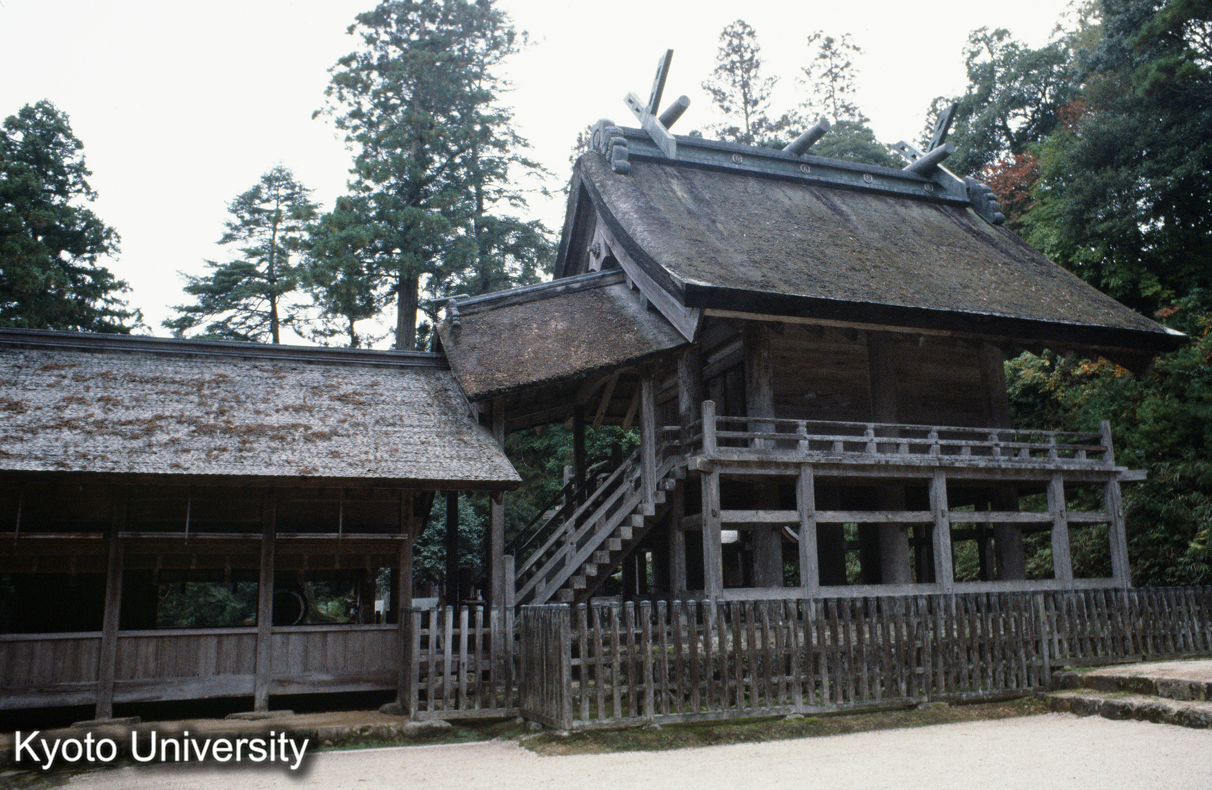神魂神社 本殿 (1)