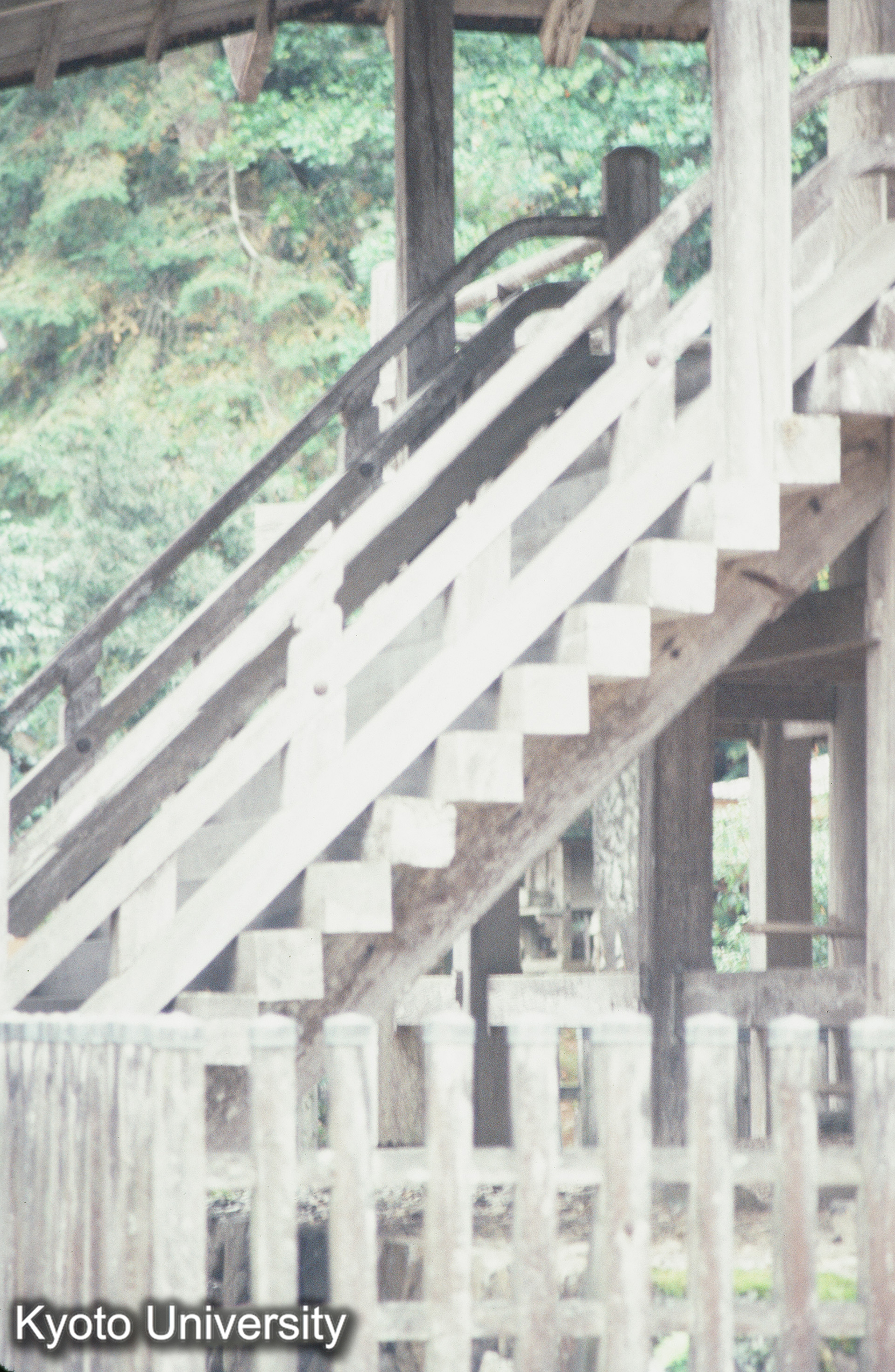 神魂神社 本殿 (1)