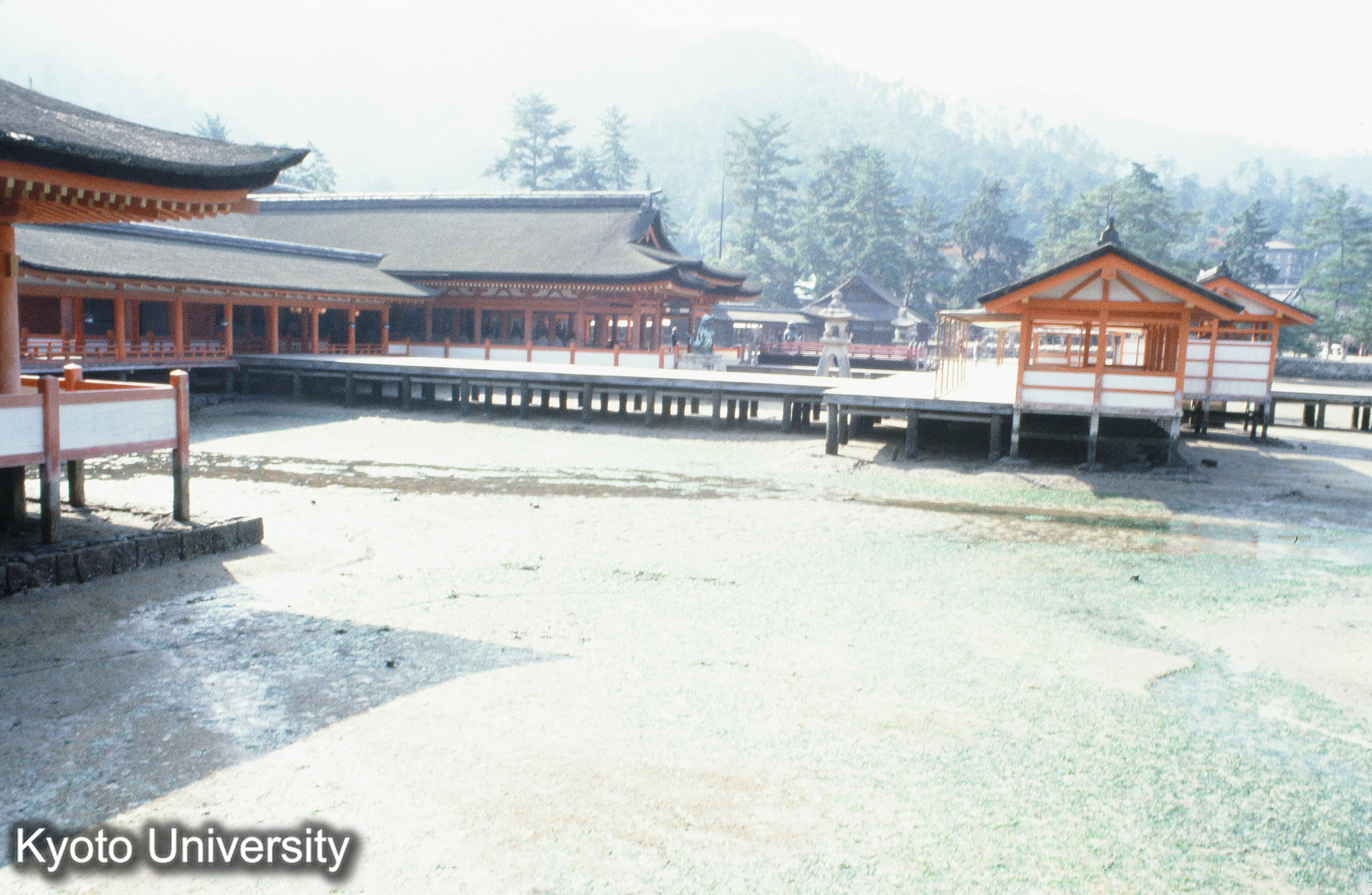 厳島神社 本社 (1)