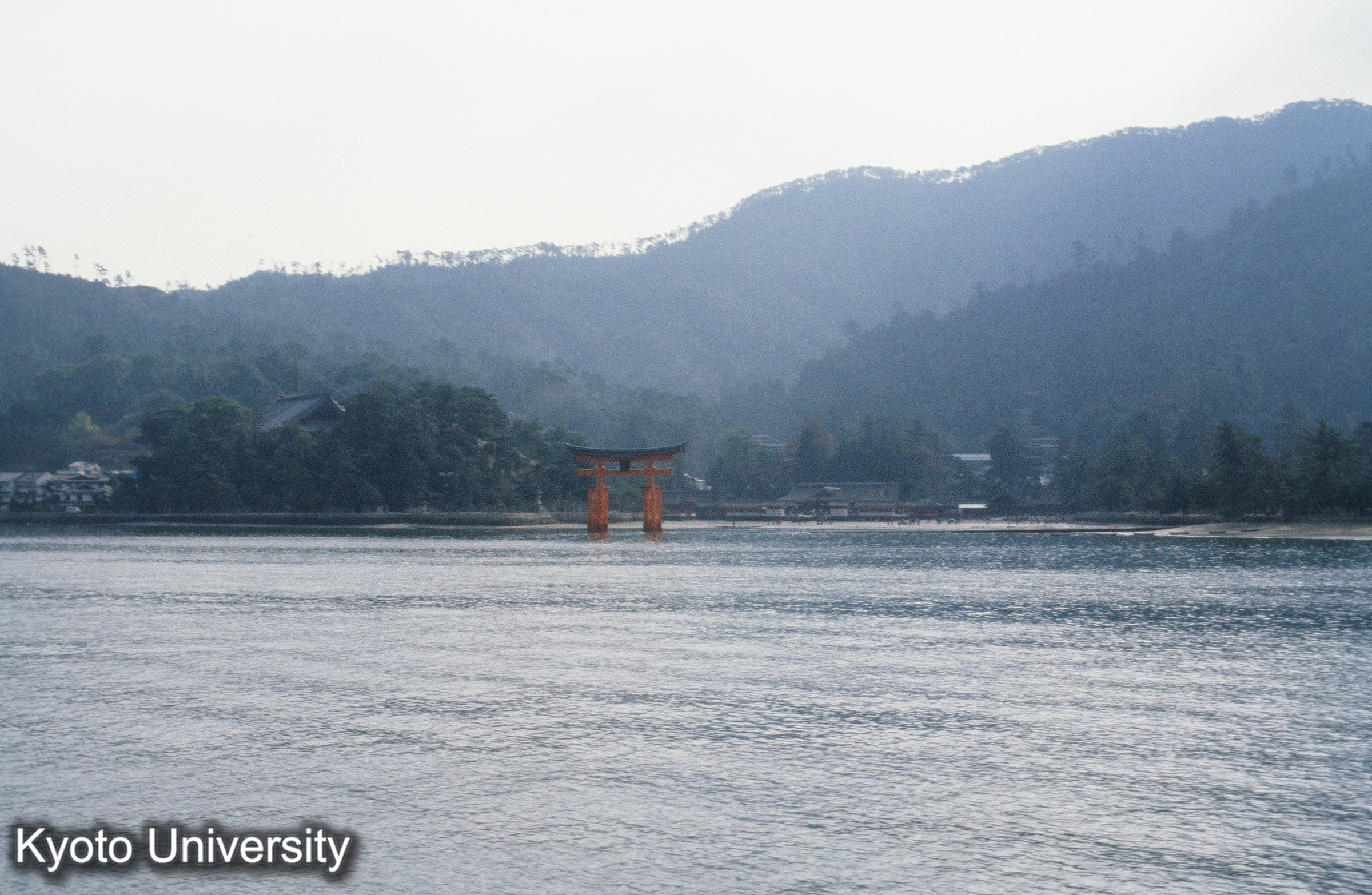 厳島神社 大鳥居遠景 (1)
