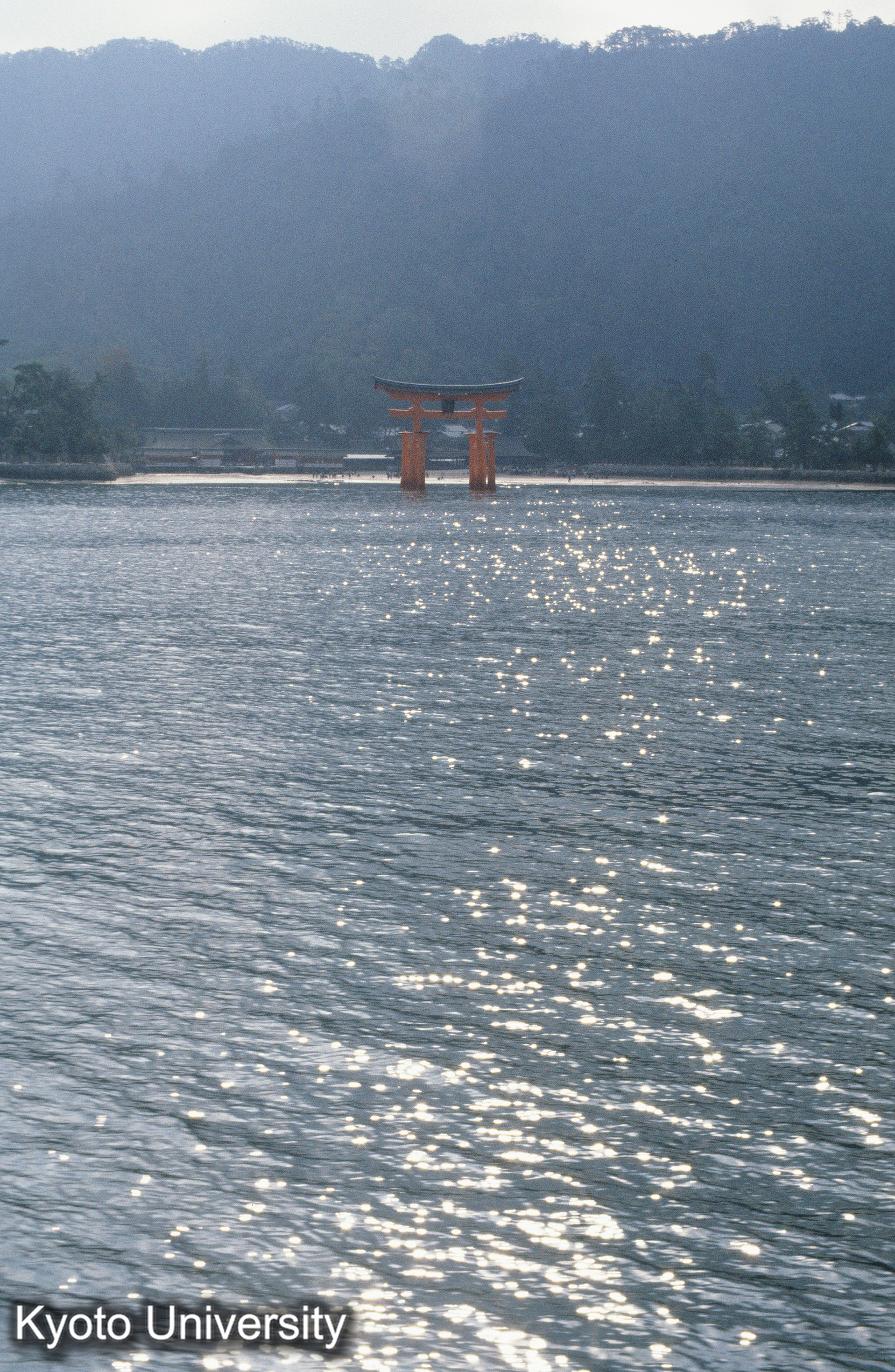厳島神社 大鳥居遠景 (1)
