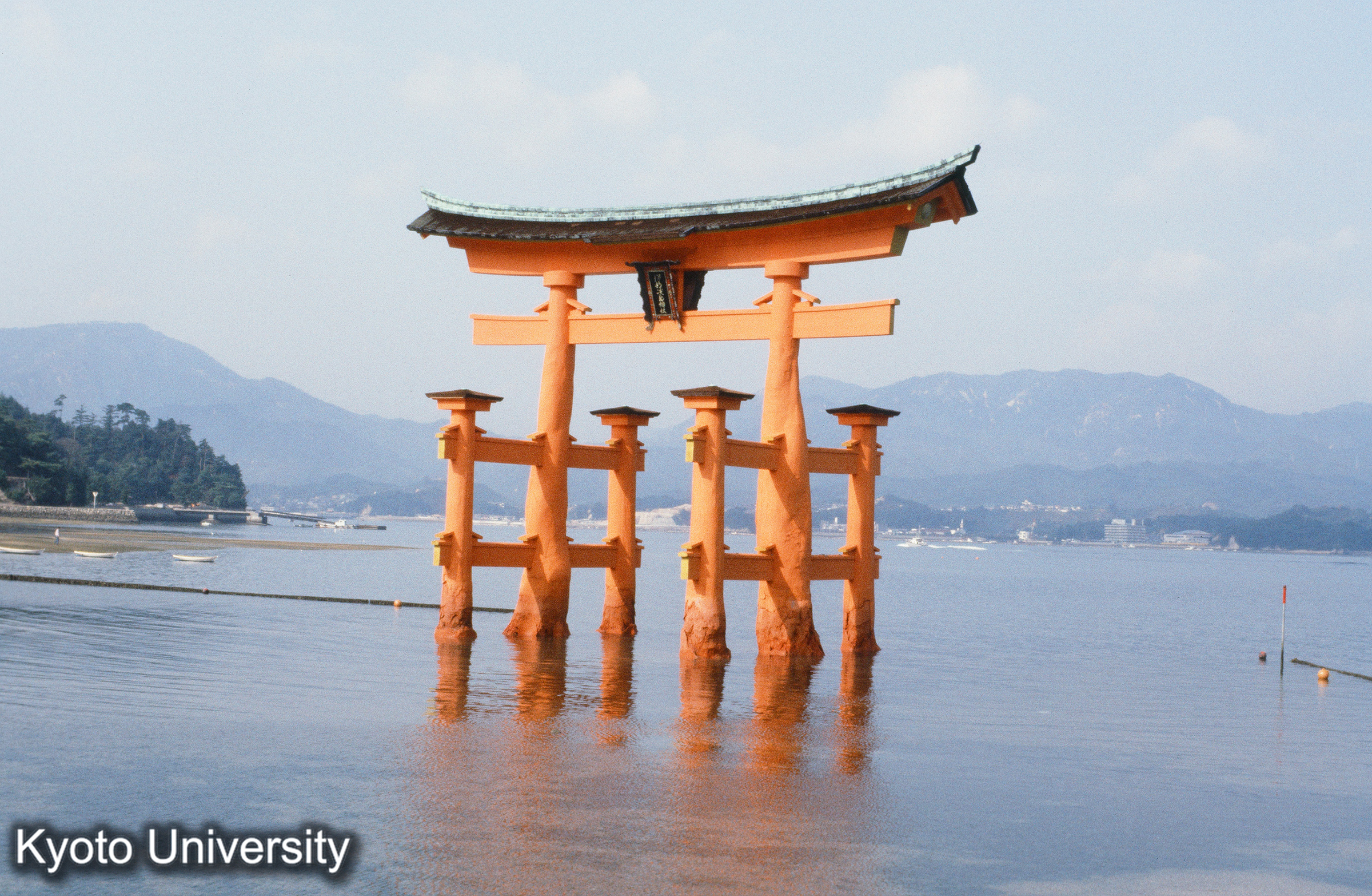 厳島神社 大鳥居 (1)