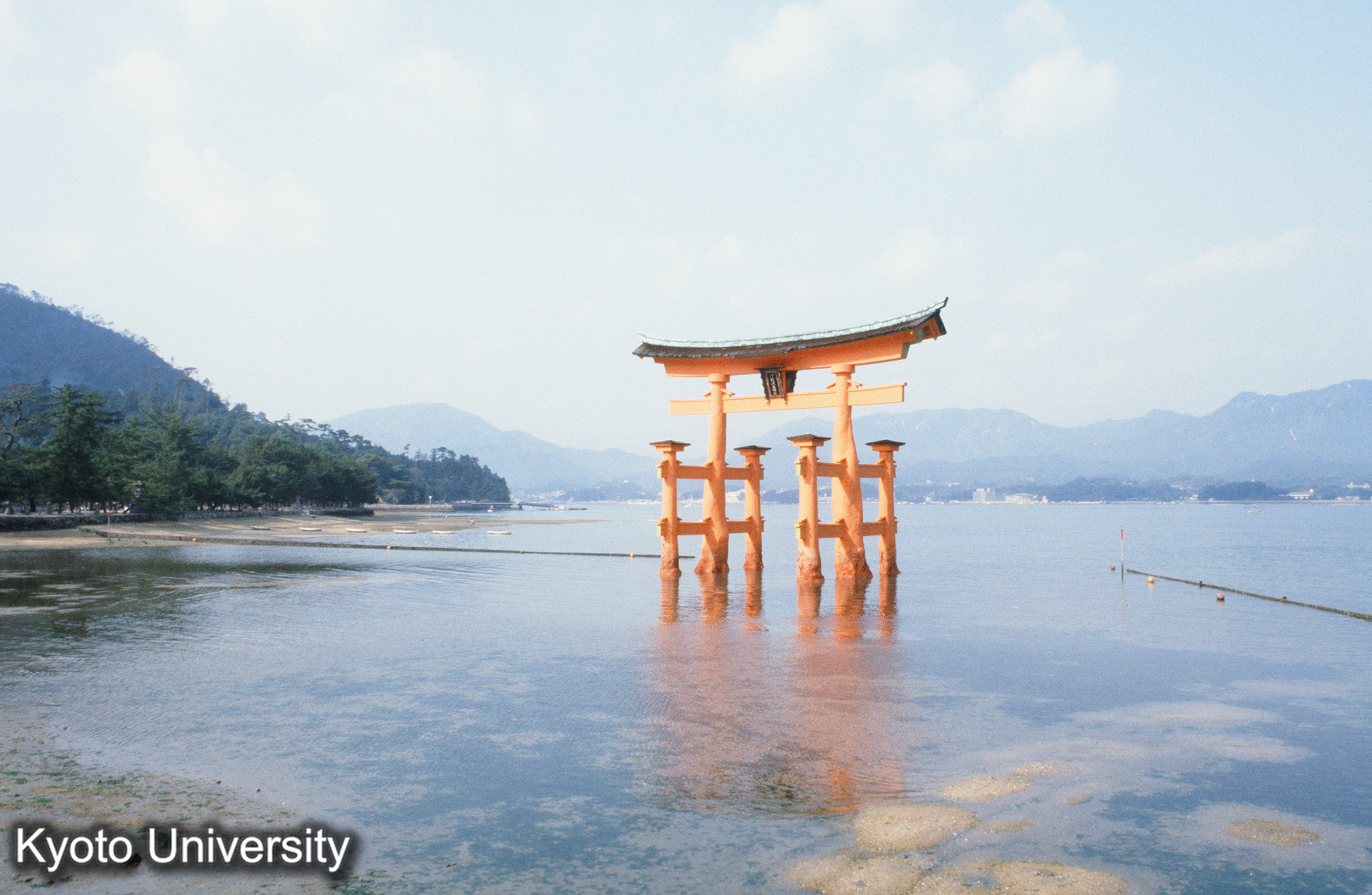 厳島神社 大鳥居 (1)