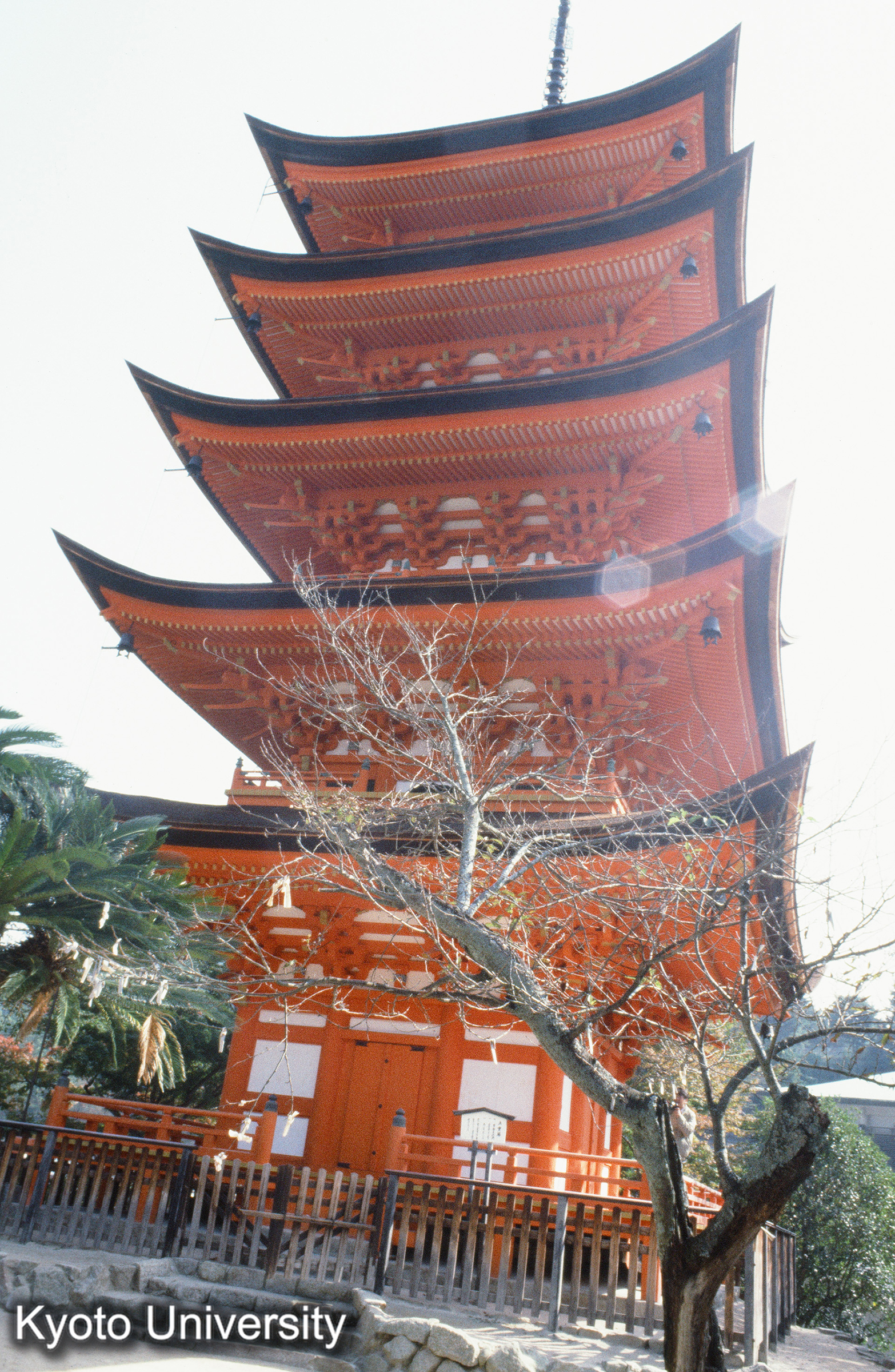 厳島神社 五重塔 (1)