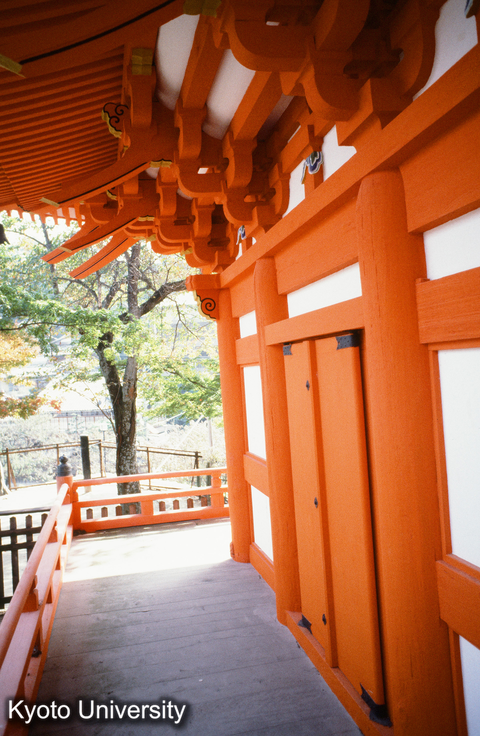 厳島神社 五重塔 (1)