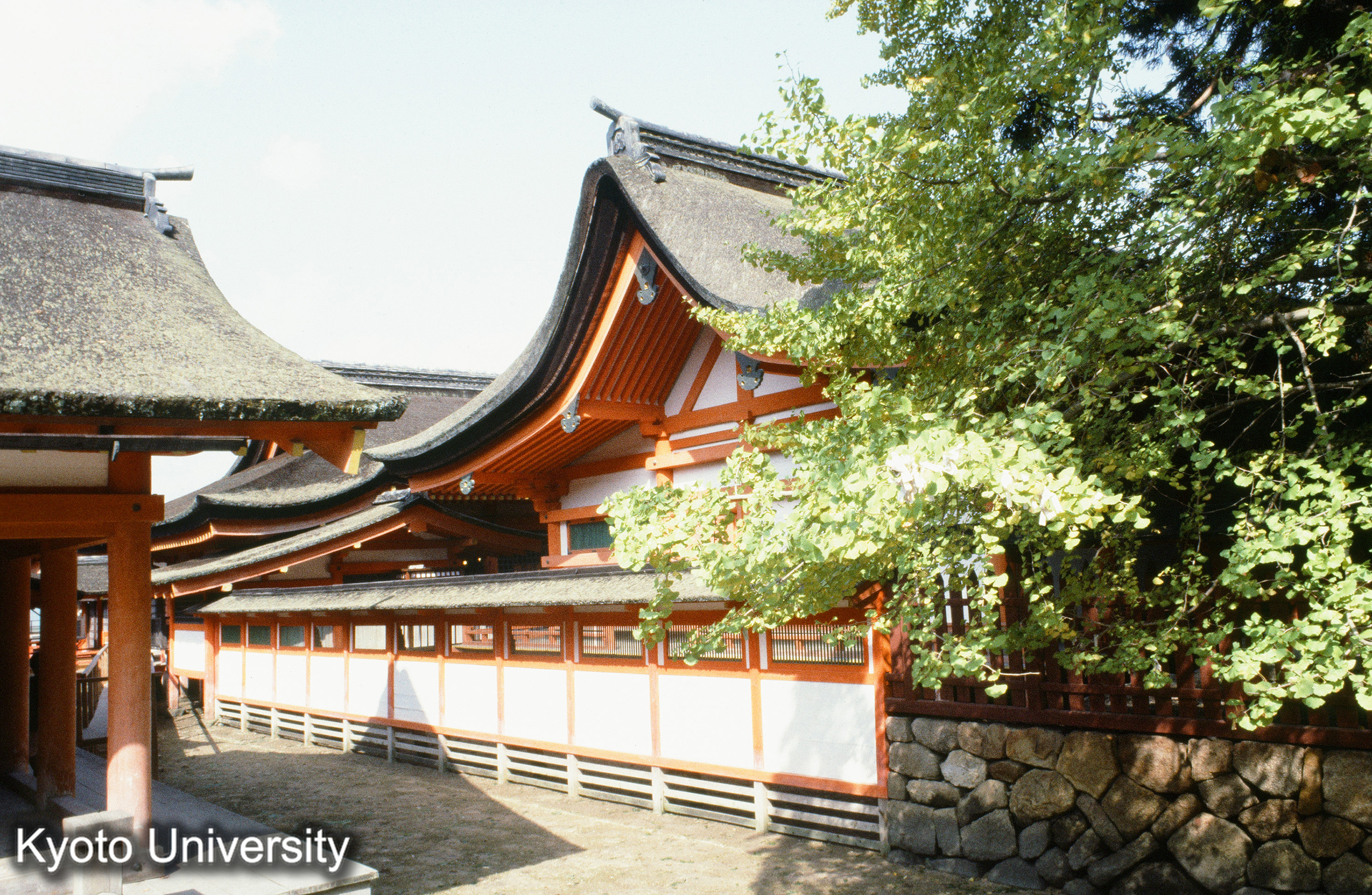 厳島神社本社本殿と玉垣 (1)