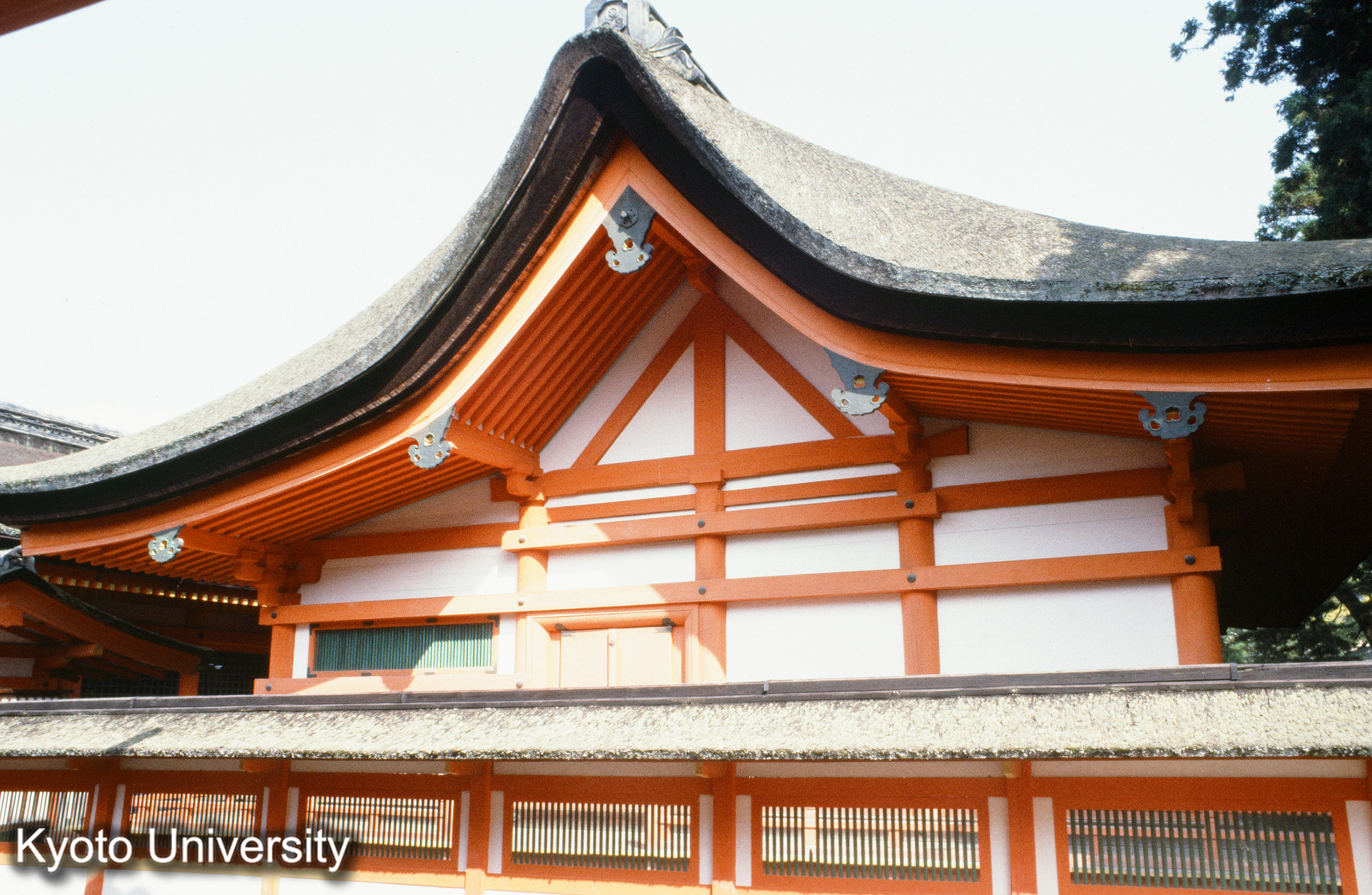 厳島神社本社本殿 (1)